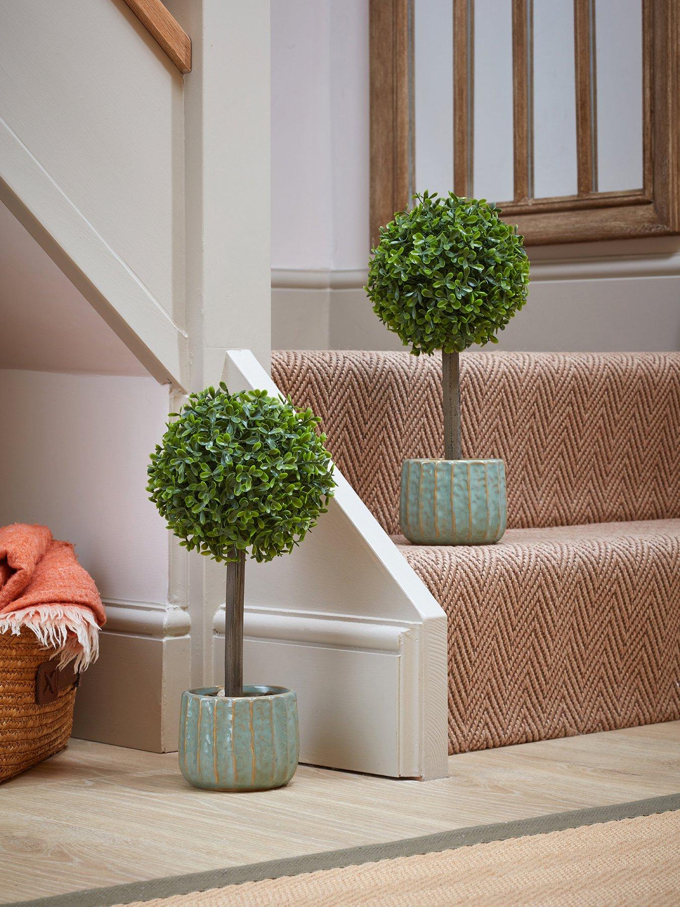 smart-garden-uno-topiary-tree-pair