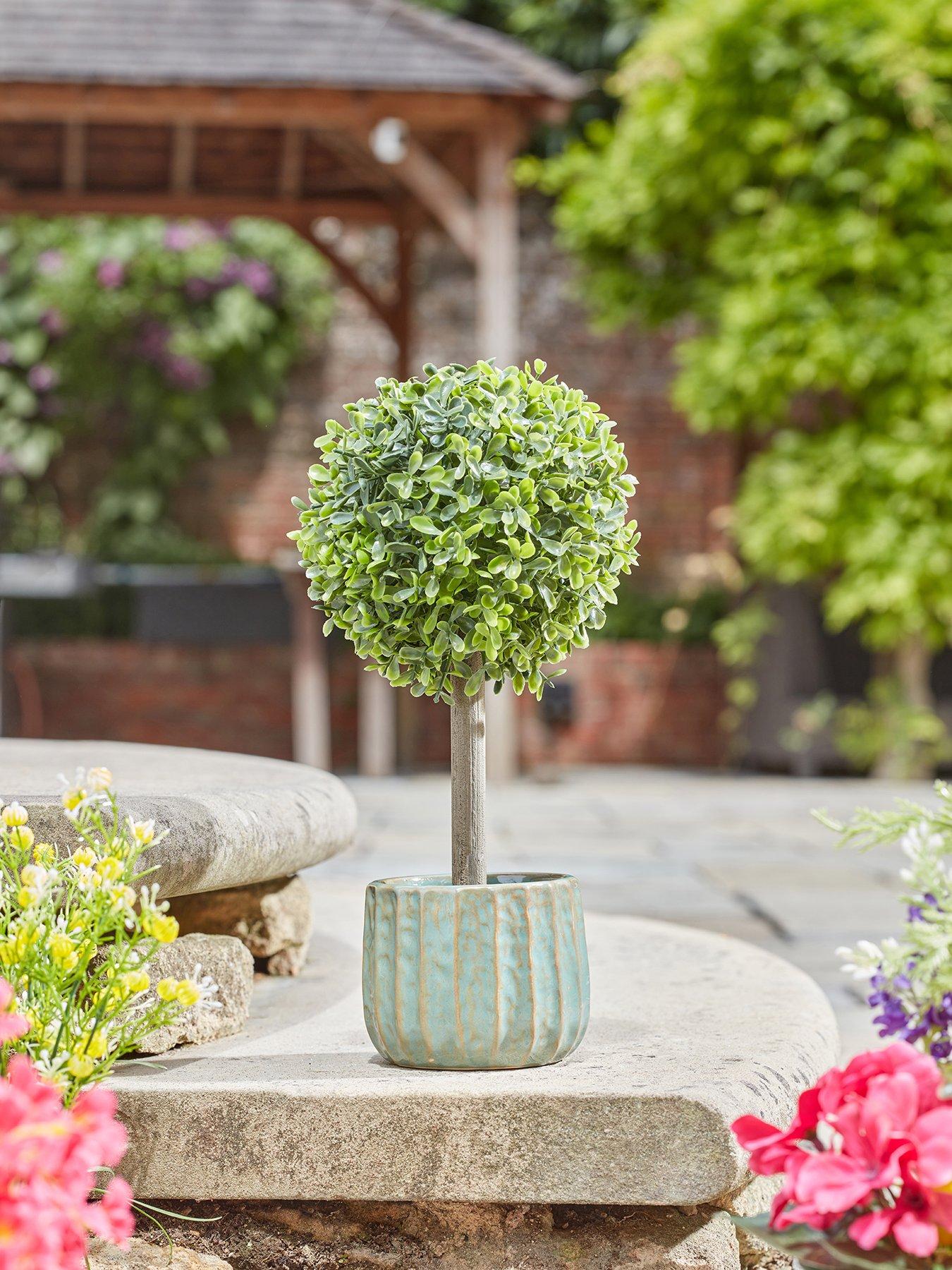 Image 3 of 3 of Smart Garden Uno Topiary Tree Pair
