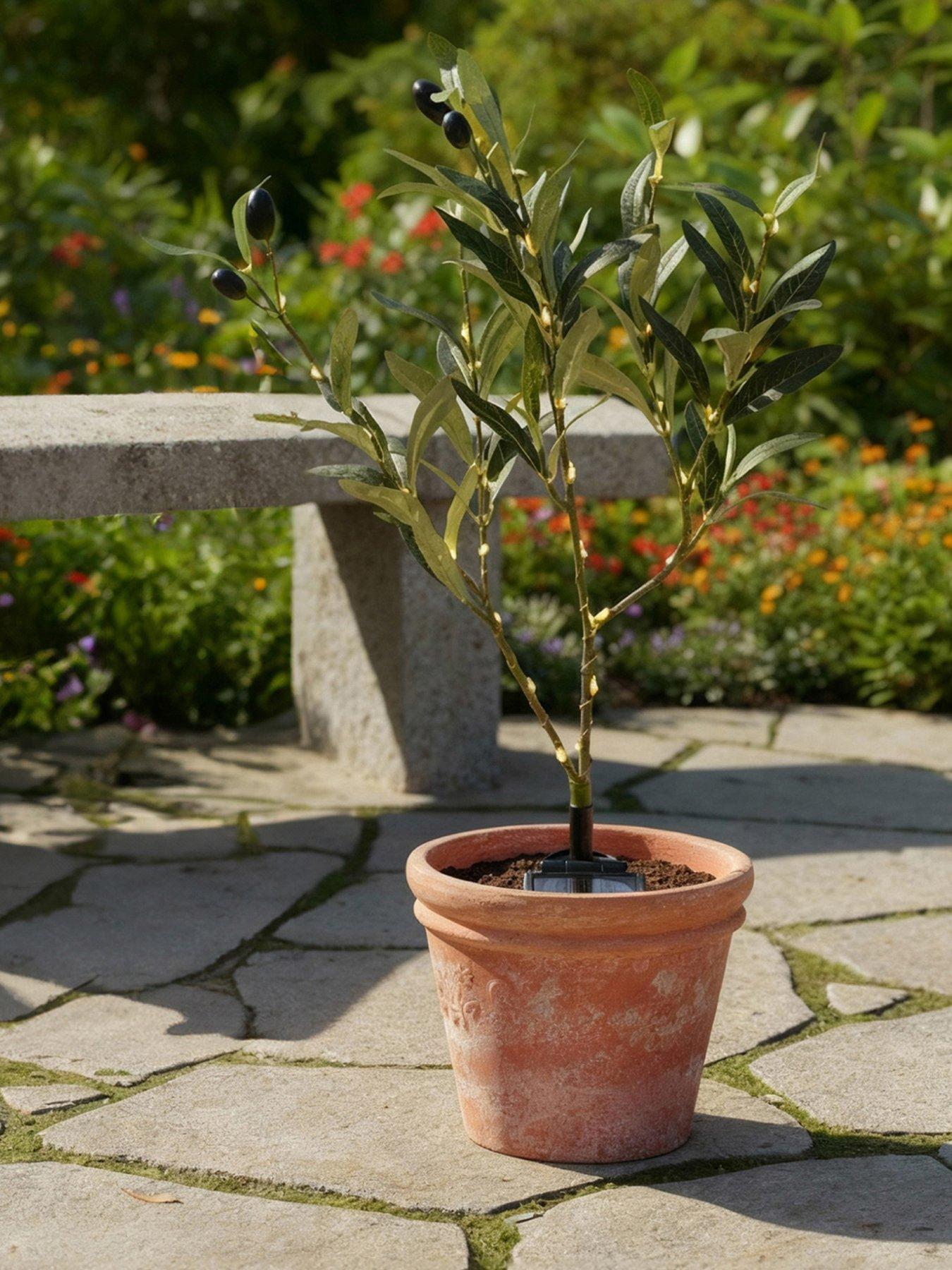 streetwize-solar-olive-tree-lightsfront