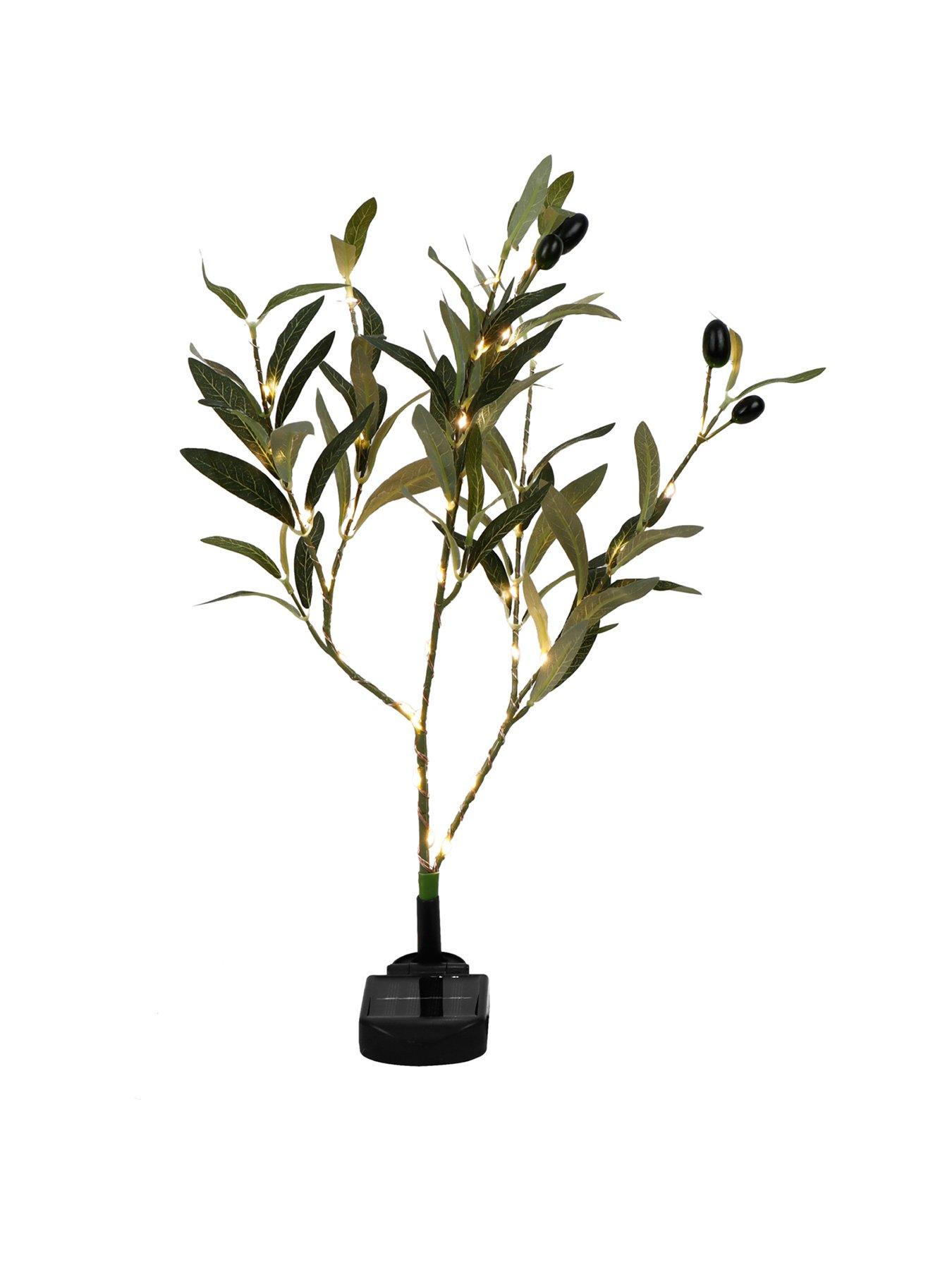 streetwize-solar-olive-tree-lightsstillFront