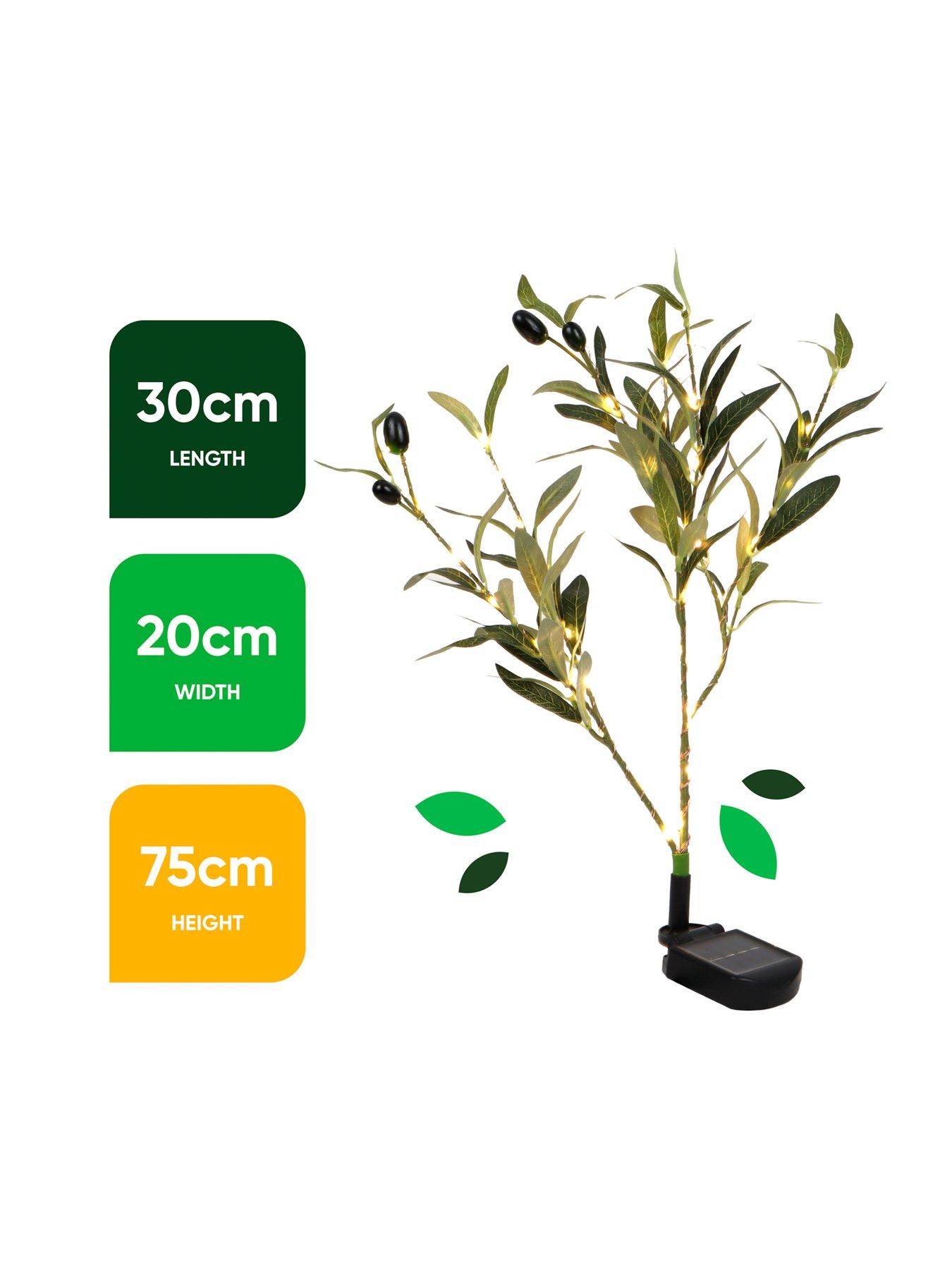 streetwize-solar-olive-tree-lightsback