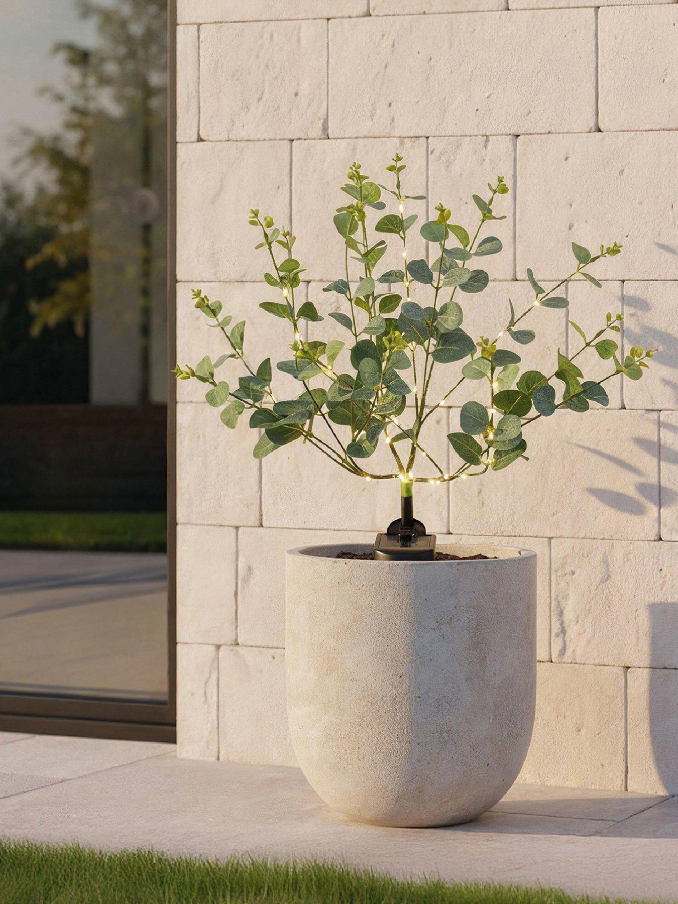 streetwize-solar-eucalyptus-tree-lightsfront