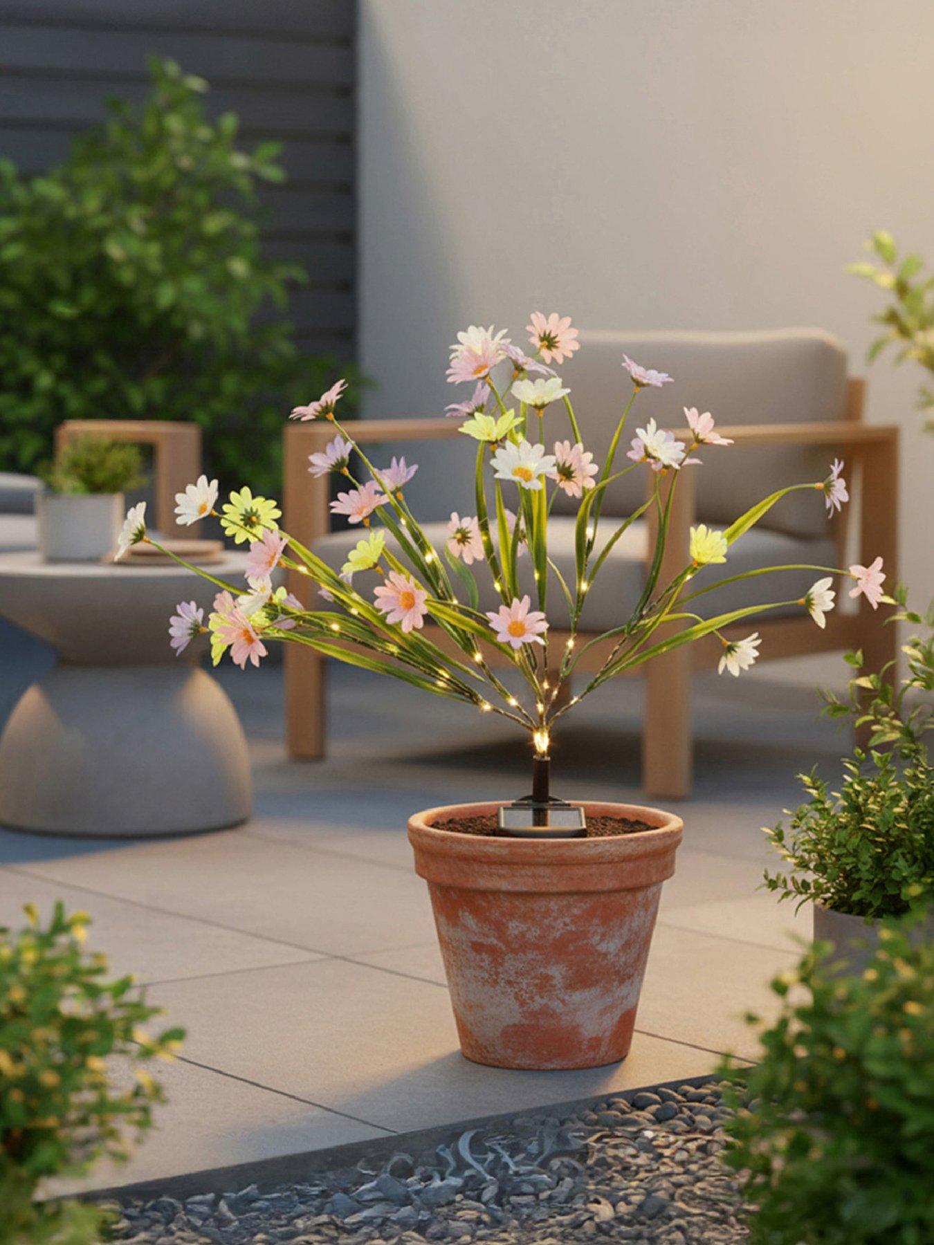 streetwize-solar-wild-chrysanthemum-flowers-lightsfront