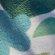 ONE_COLOUR
