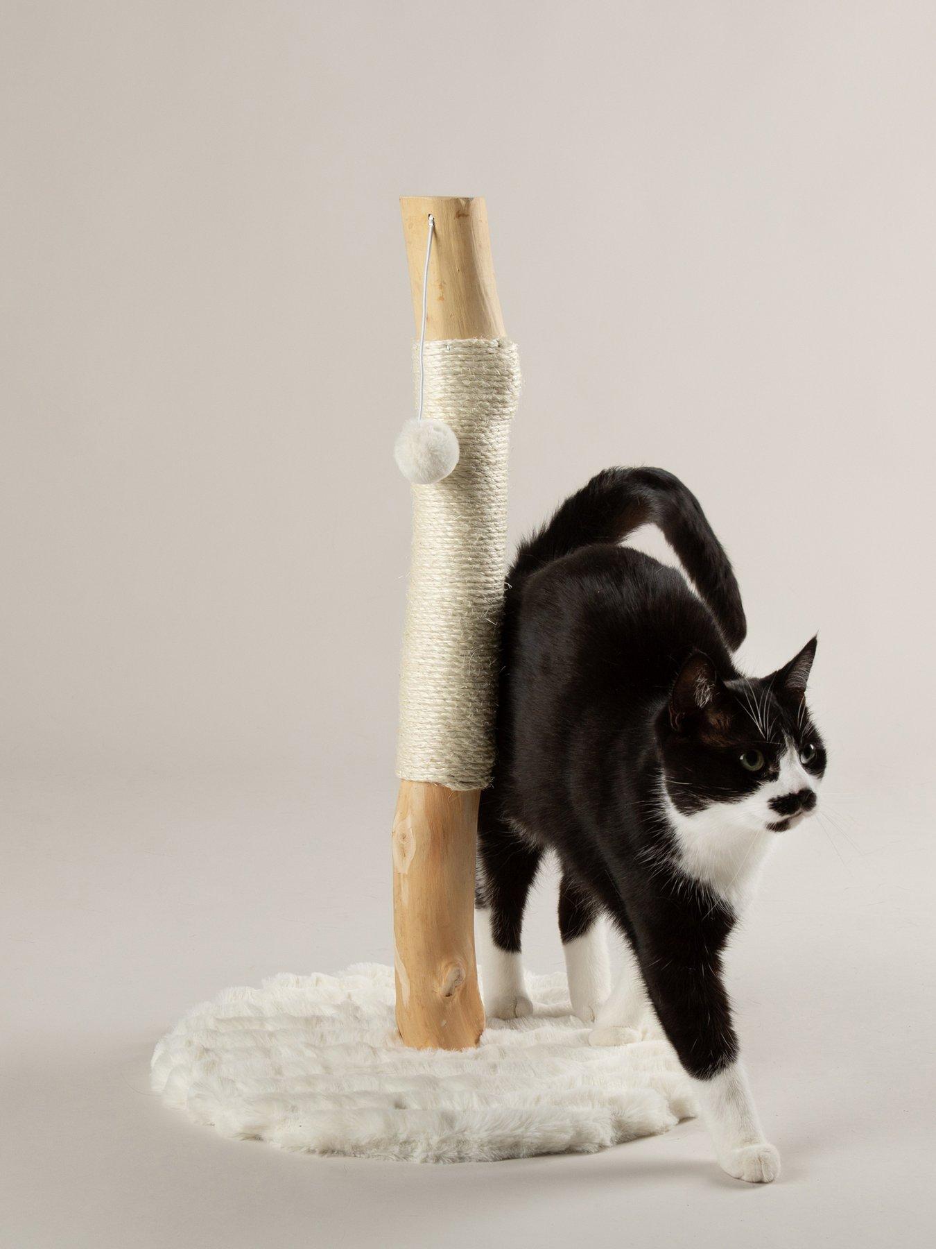 scruffs-rockies-cat-scratching-tree