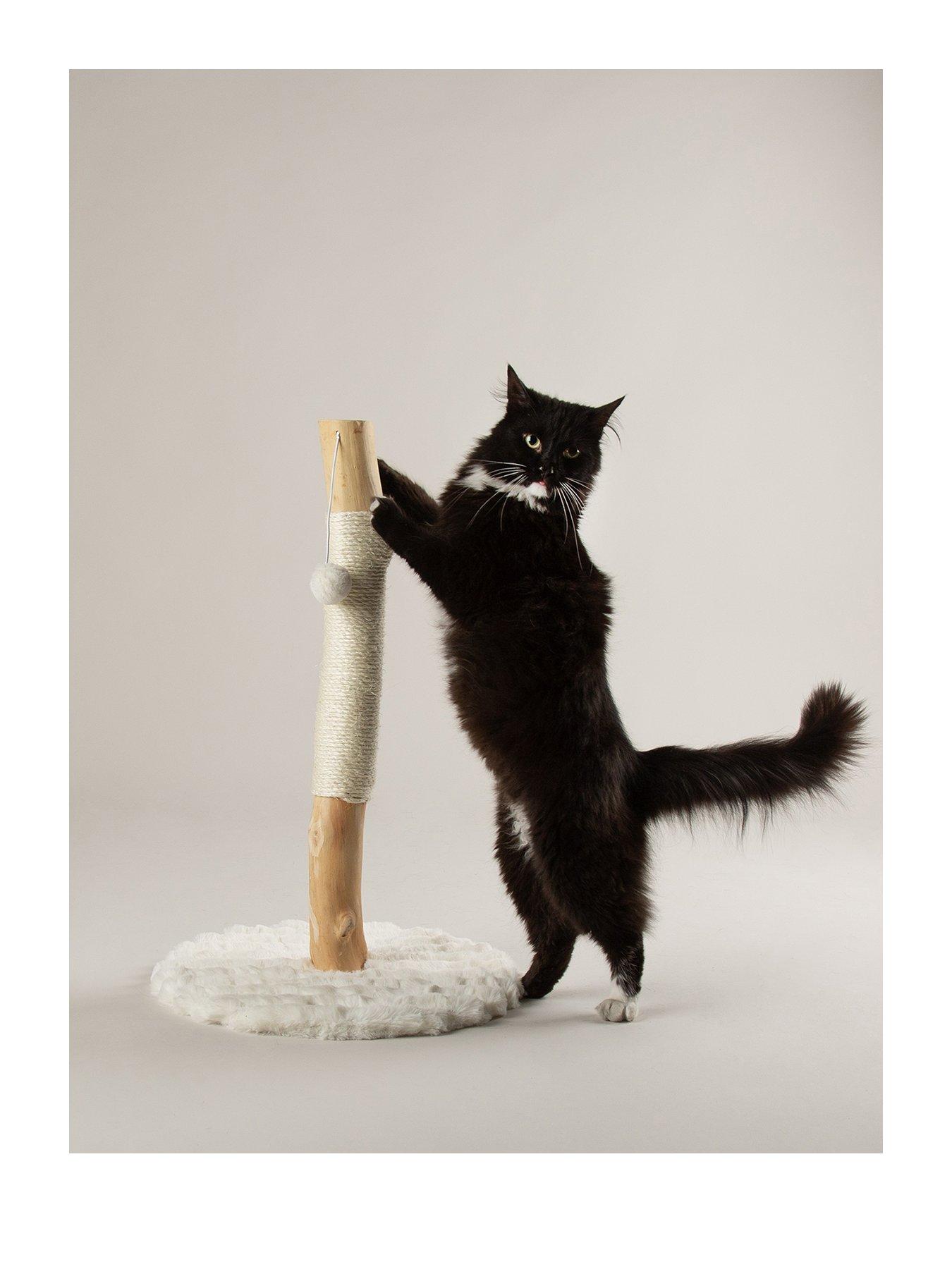 Image 2 of 6 of Scruffs Rockies Cat Scratching Tree