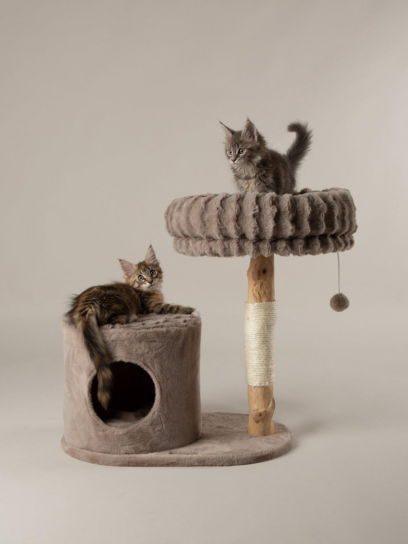 Image 1 of 7 of Scruffs Himalayas Cat Scratching Tree - Taupe