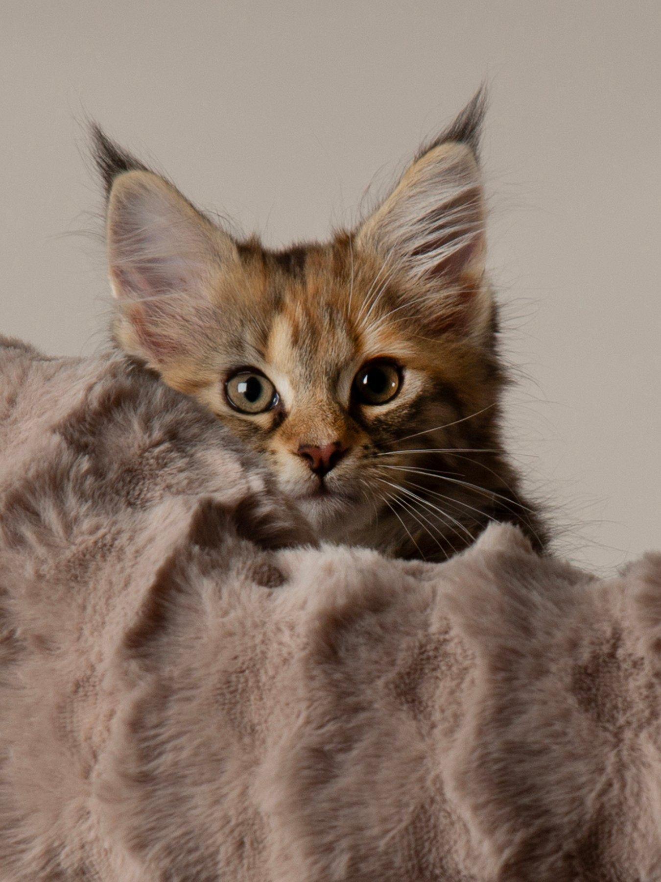 scruffs-pyrenees-cat-scratching-tree-taupeoutfit