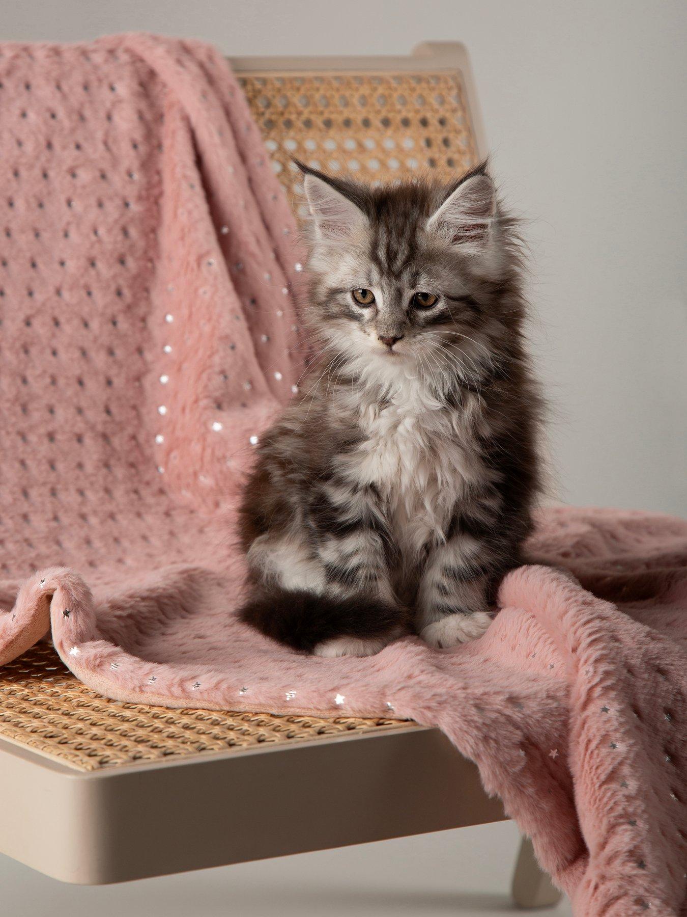 scruffs-my-first-bed-starlight-puppy-kitten-calming-blanketfront