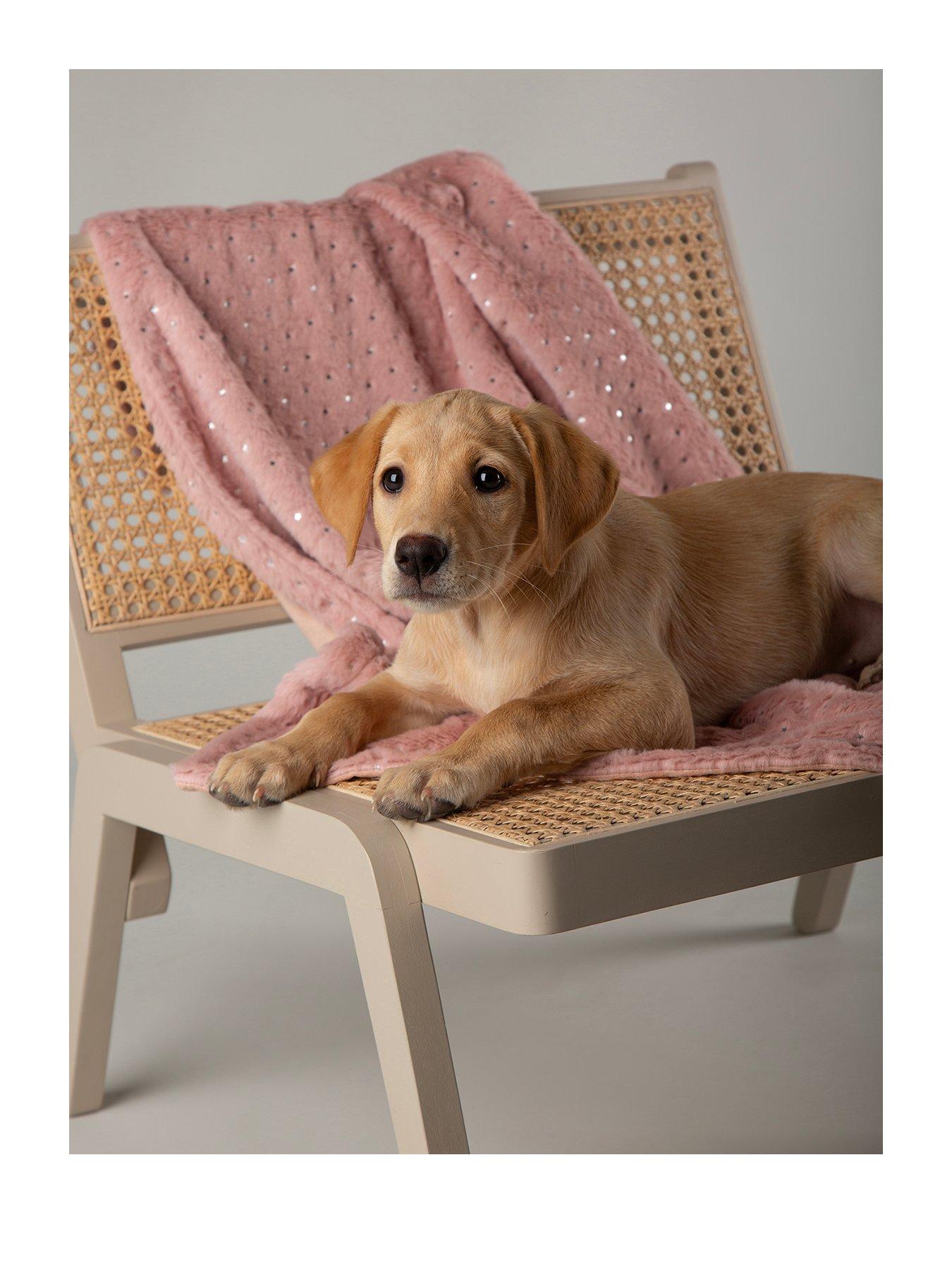 scruffs-my-first-bed-starlight-puppy-kitten-calming-blanketstillFront