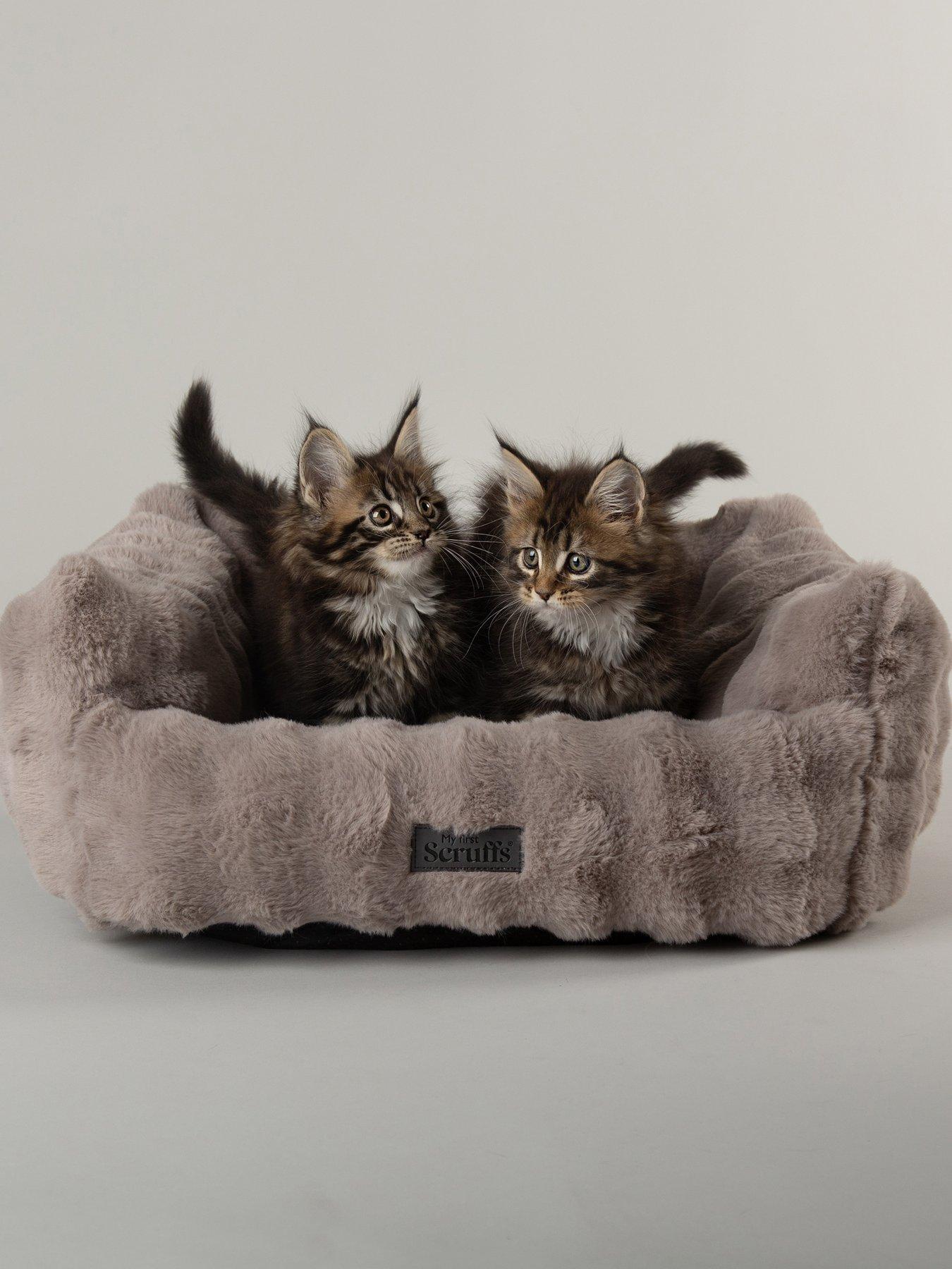 scruffs-my-first-bed-cloud-puppy-kitten-calming-box-bed