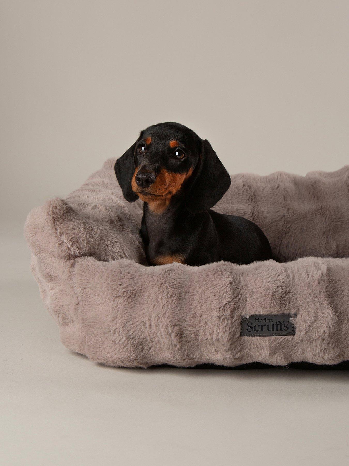scruffs-my-first-bed-cloud-puppy-kitten-calming-box-bedback