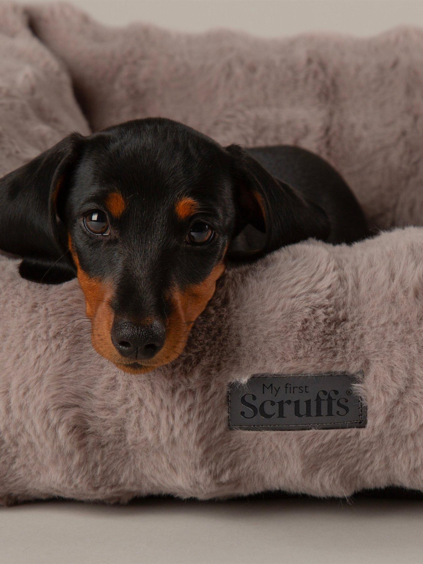 scruffs-my-first-bed-cloud-puppy-kitten-calming-box-bedoutfit
