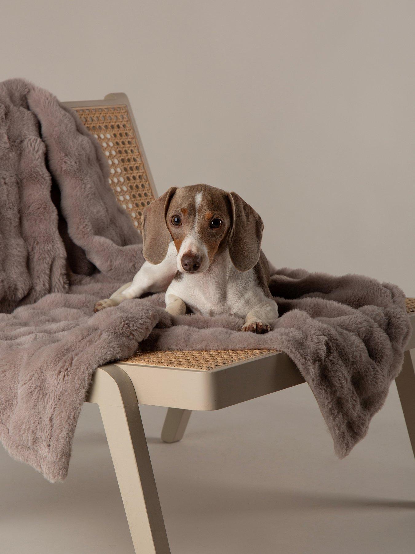 scruffs-my-first-bed-cloud-puppy-kitten-calming-blanket