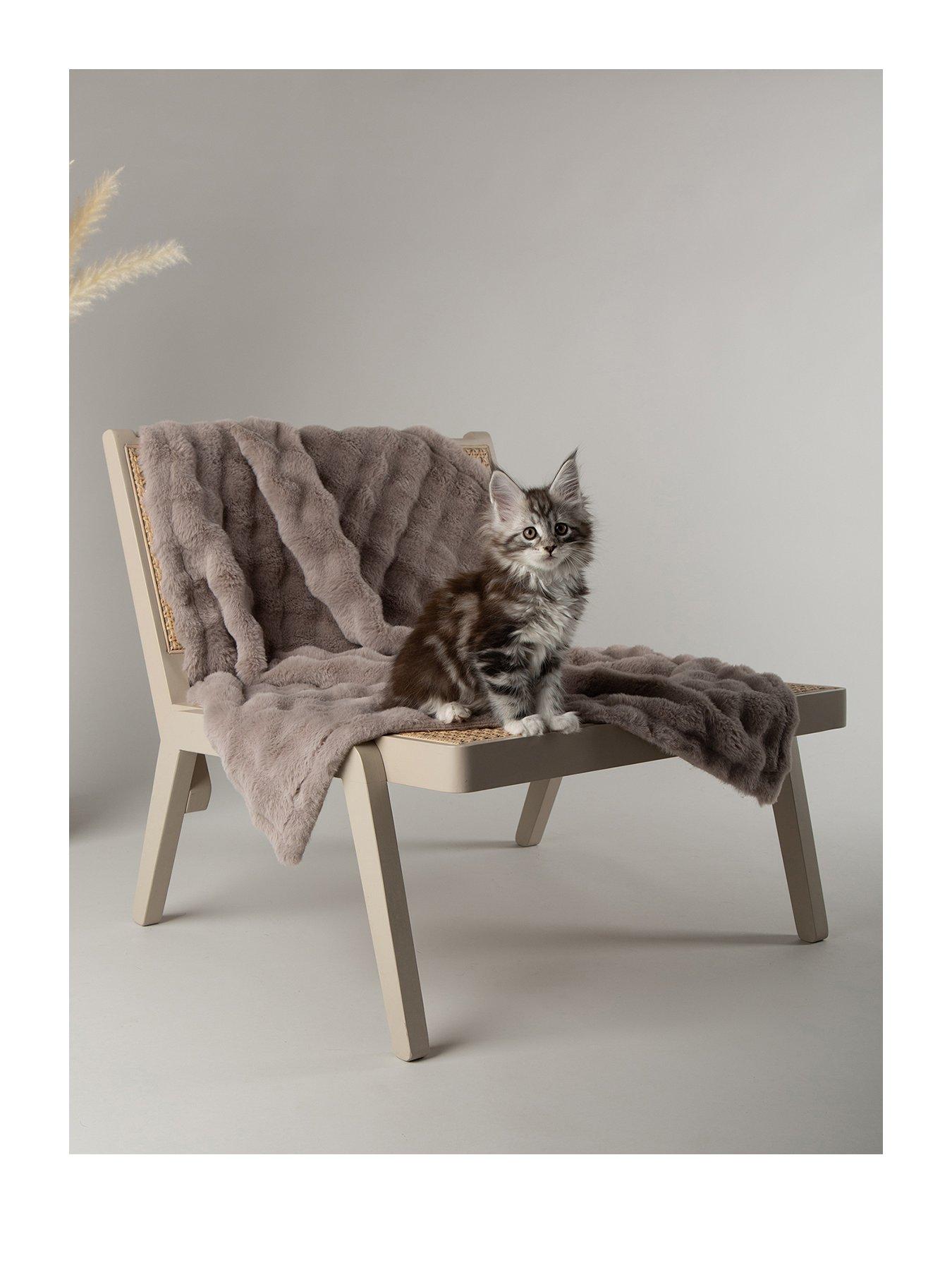 scruffs-my-first-bed-cloud-puppy-kitten-calming-blanketstillFront