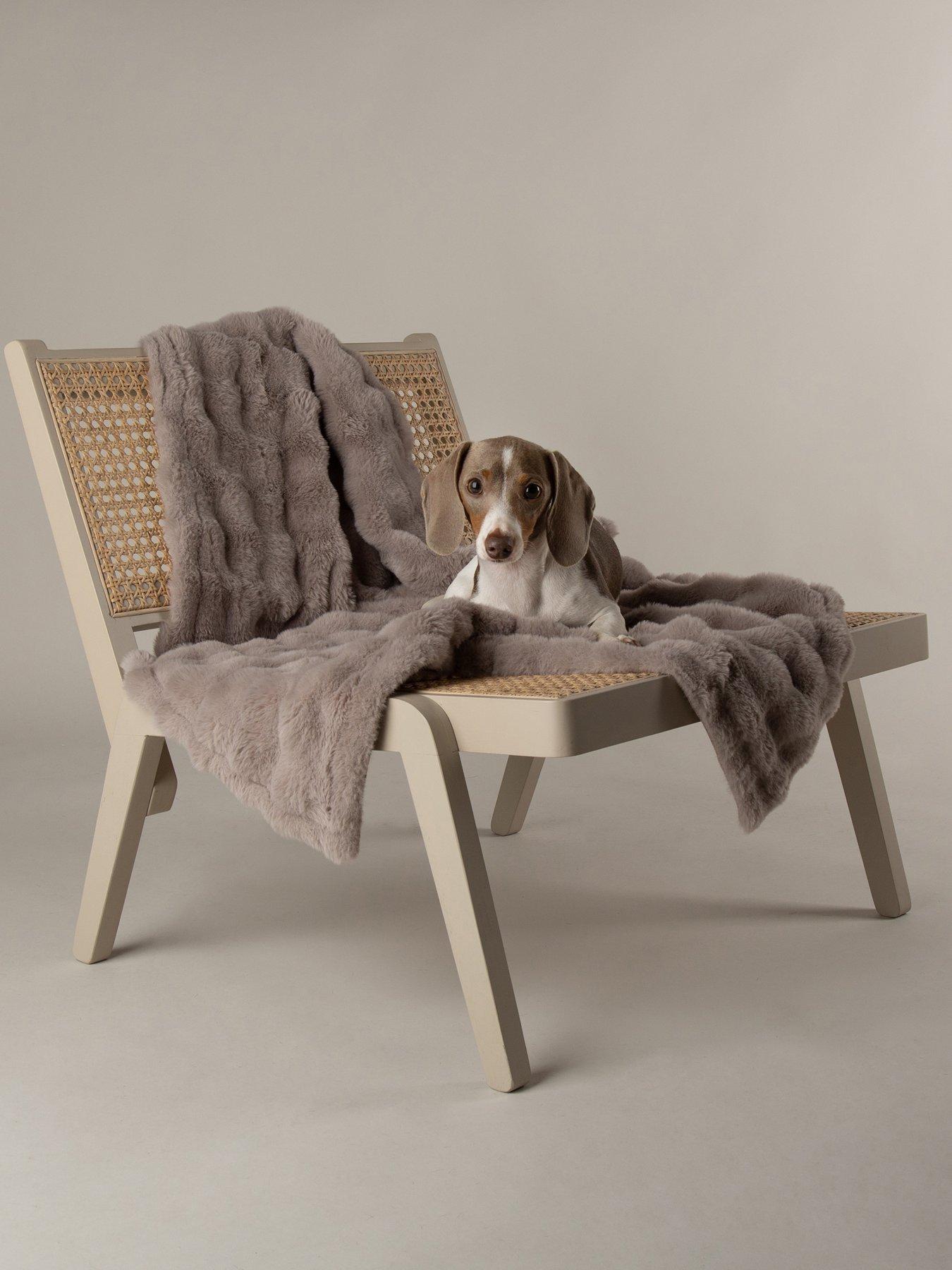 scruffs-my-first-bed-cloud-puppy-kitten-calming-blanketoutfit