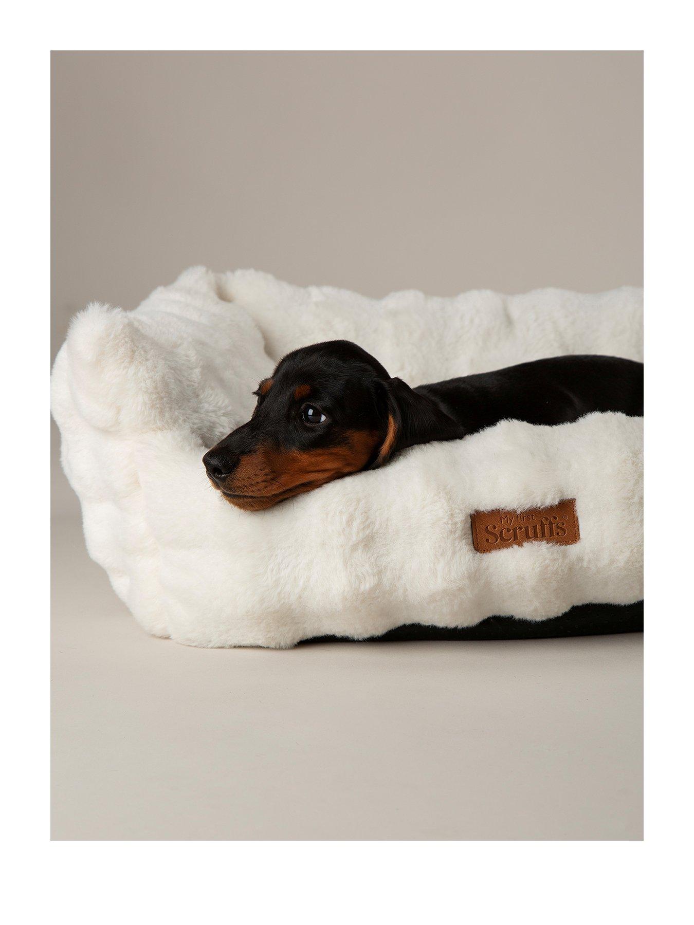 scruffs-my-first-bed-cloud-puppy-kitten-calming-box-bedstillFront