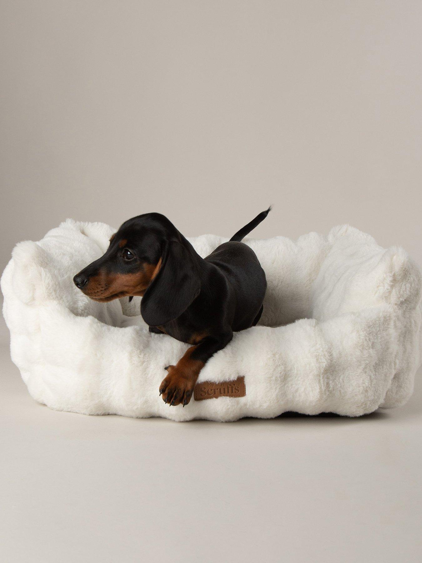 scruffs-my-first-bed-cloud-puppy-kitten-calming-box-bedback
