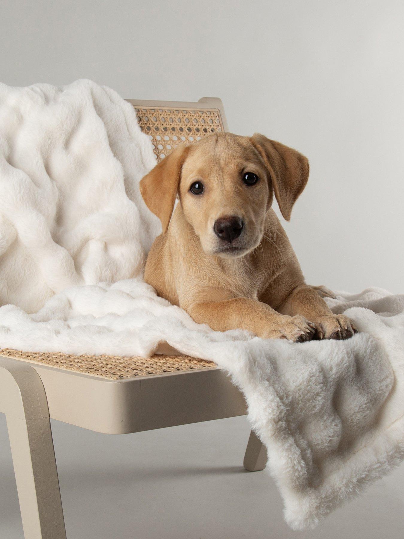 scruffs-my-first-bed-cloud-puppy-kitten-calming-blanketfront