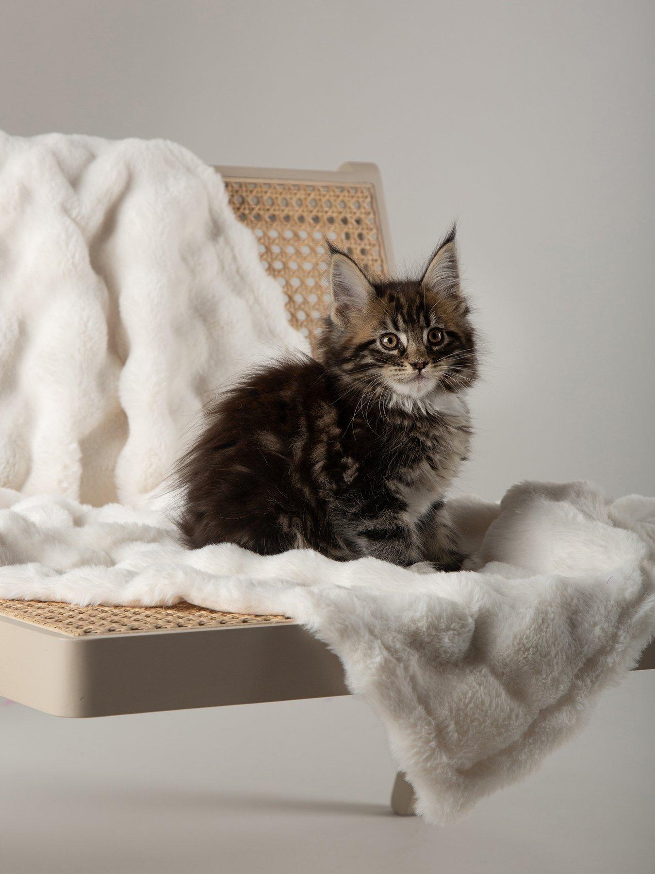 scruffs-my-first-bed-cloud-puppy-kitten-calming-blanketback