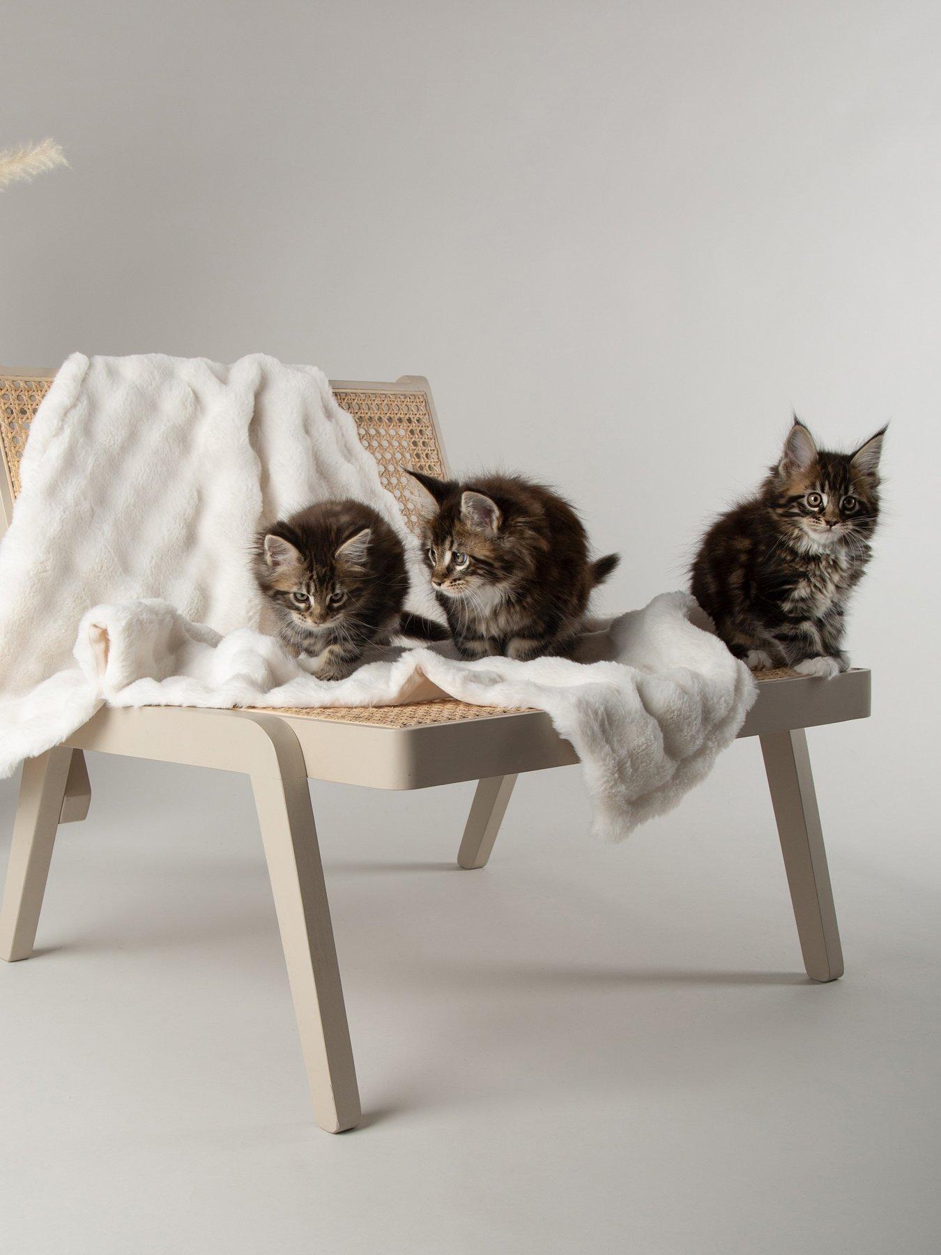 scruffs-my-first-bed-cloud-puppy-kitten-calming-blanketoutfit