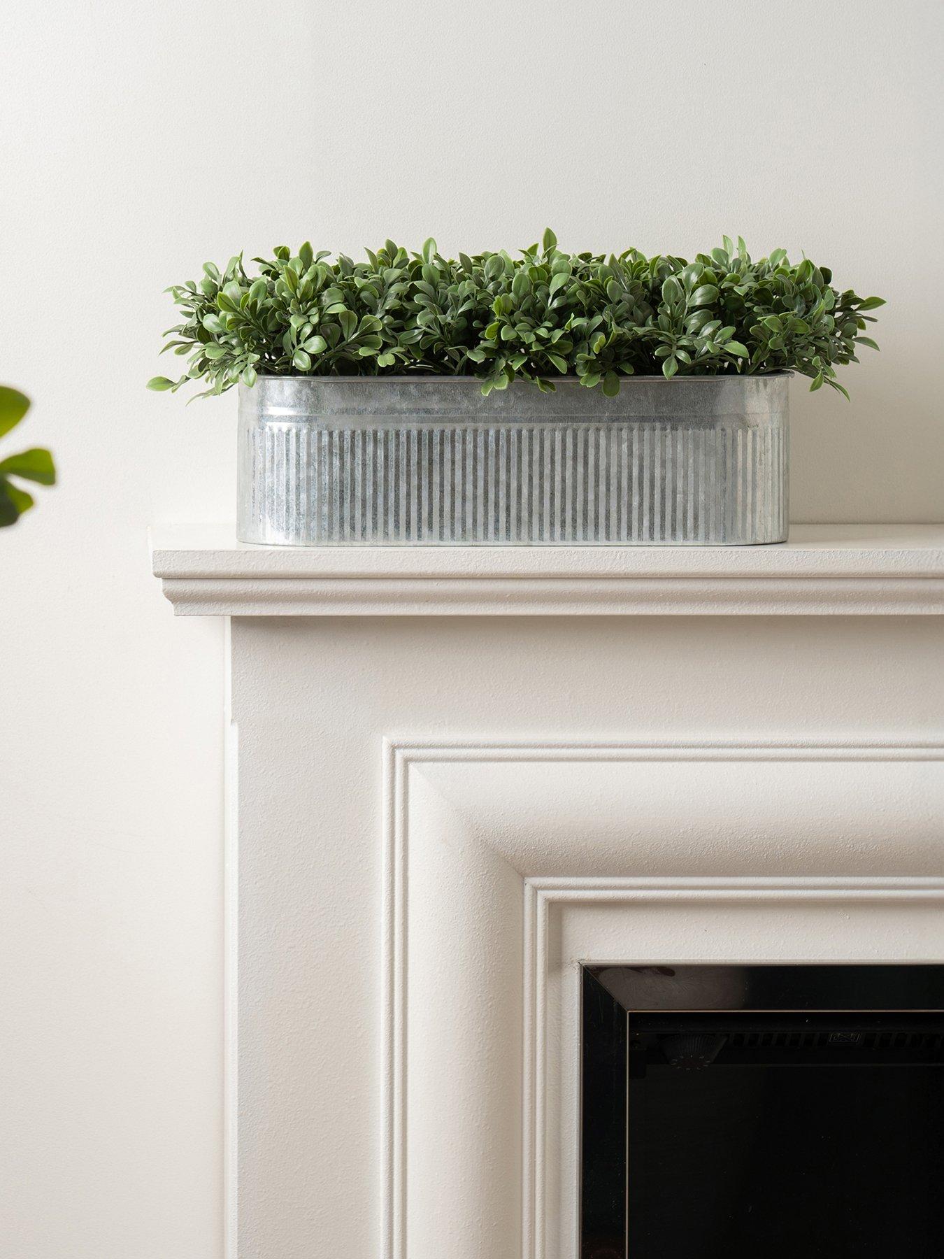 Image 1 of 4 of Scottish Everlastings 51X23Cm Boxwood Trough Uv