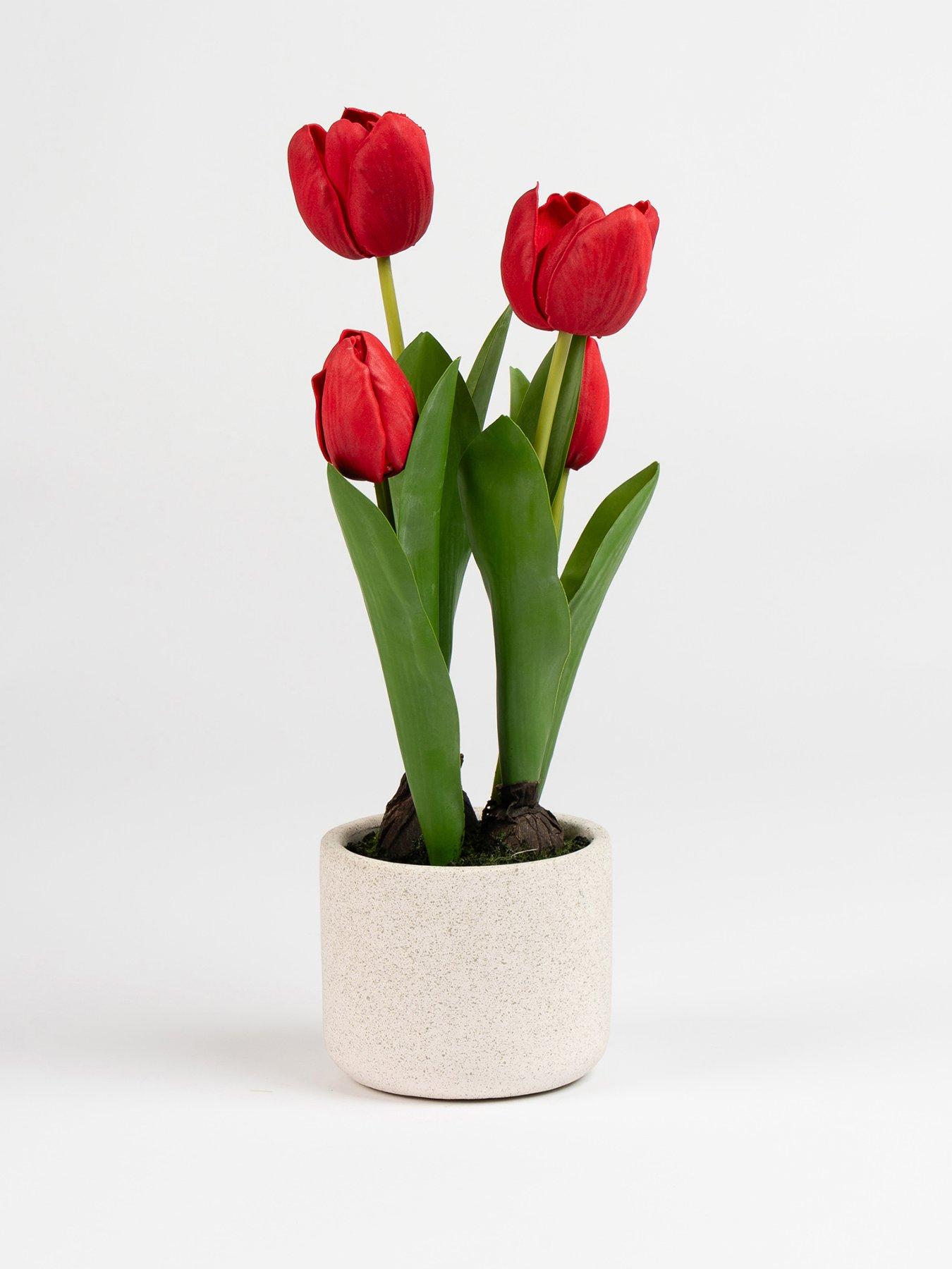 scottish-everlastings-36cm-red-tulips-in-cement-potfront