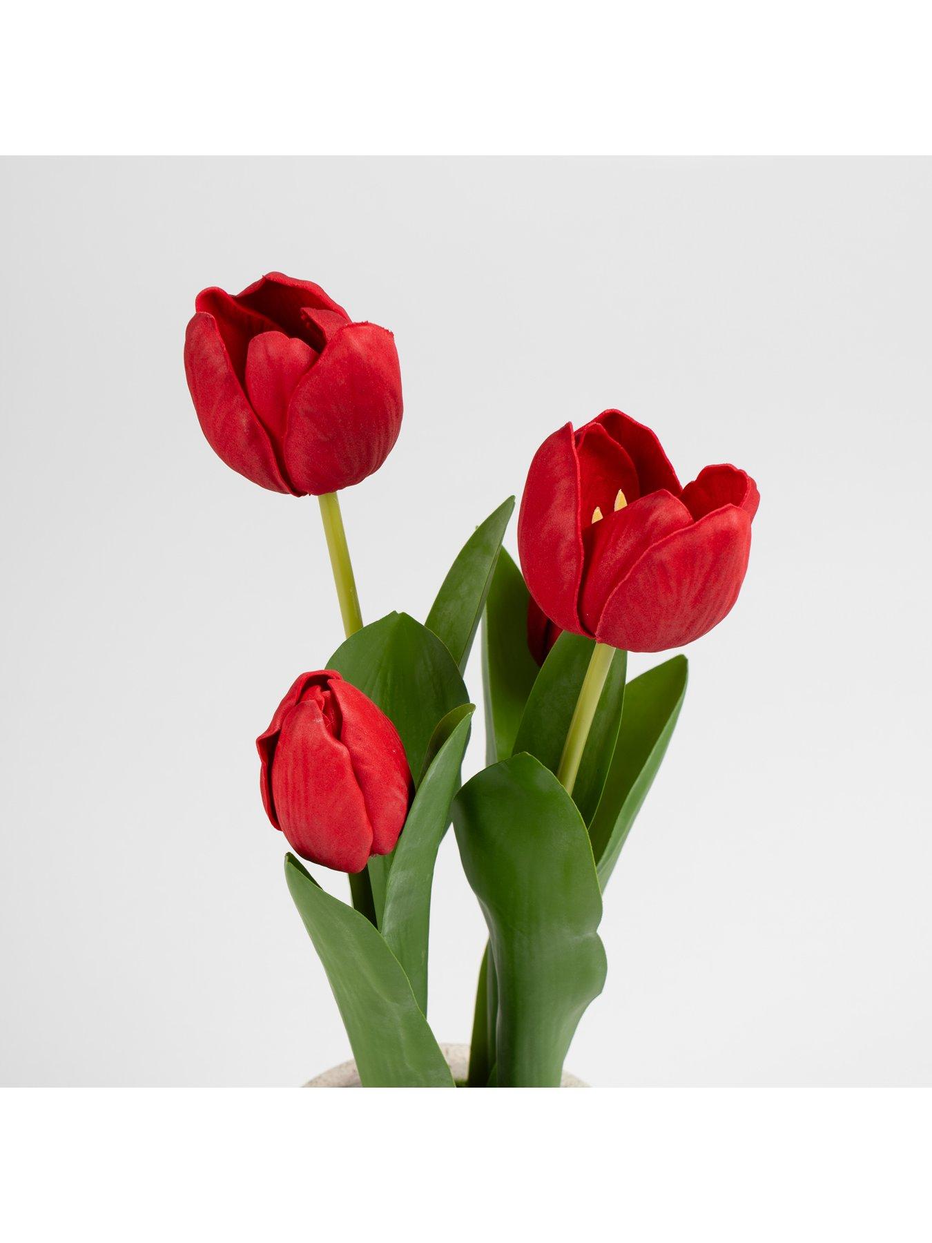 scottish-everlastings-36cm-red-tulips-in-cement-potback