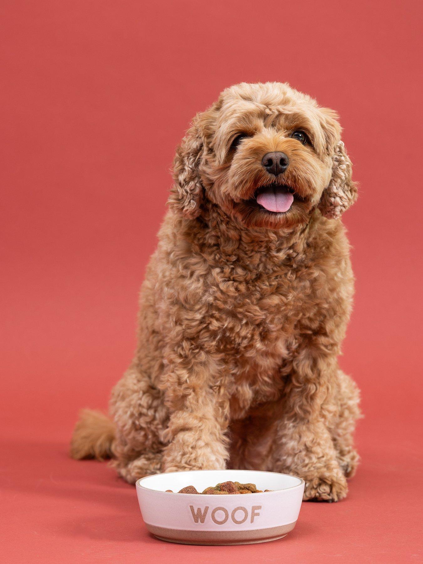 mason-cash-set-of-2-woof-16cm-bowls