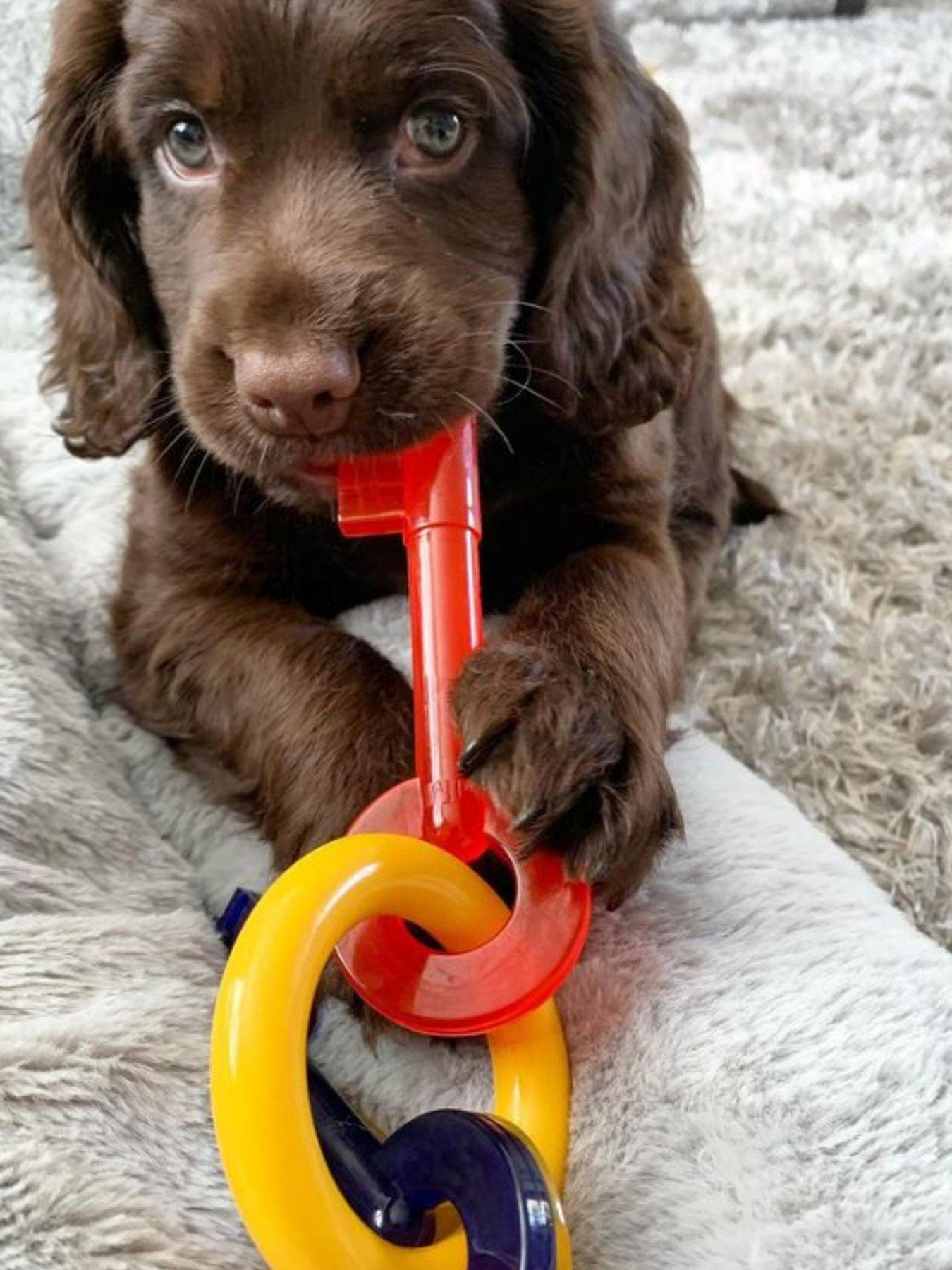 nylabone-n220peu-ny-puppy-teething-keys-smallstillFront