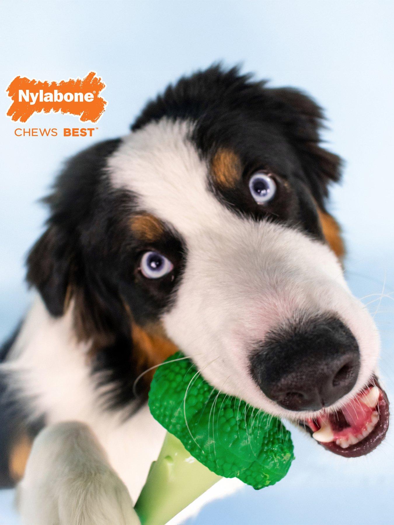 nylabone-nbr105peu-ny-baconcheese-extreme-chew-broccolistillFront