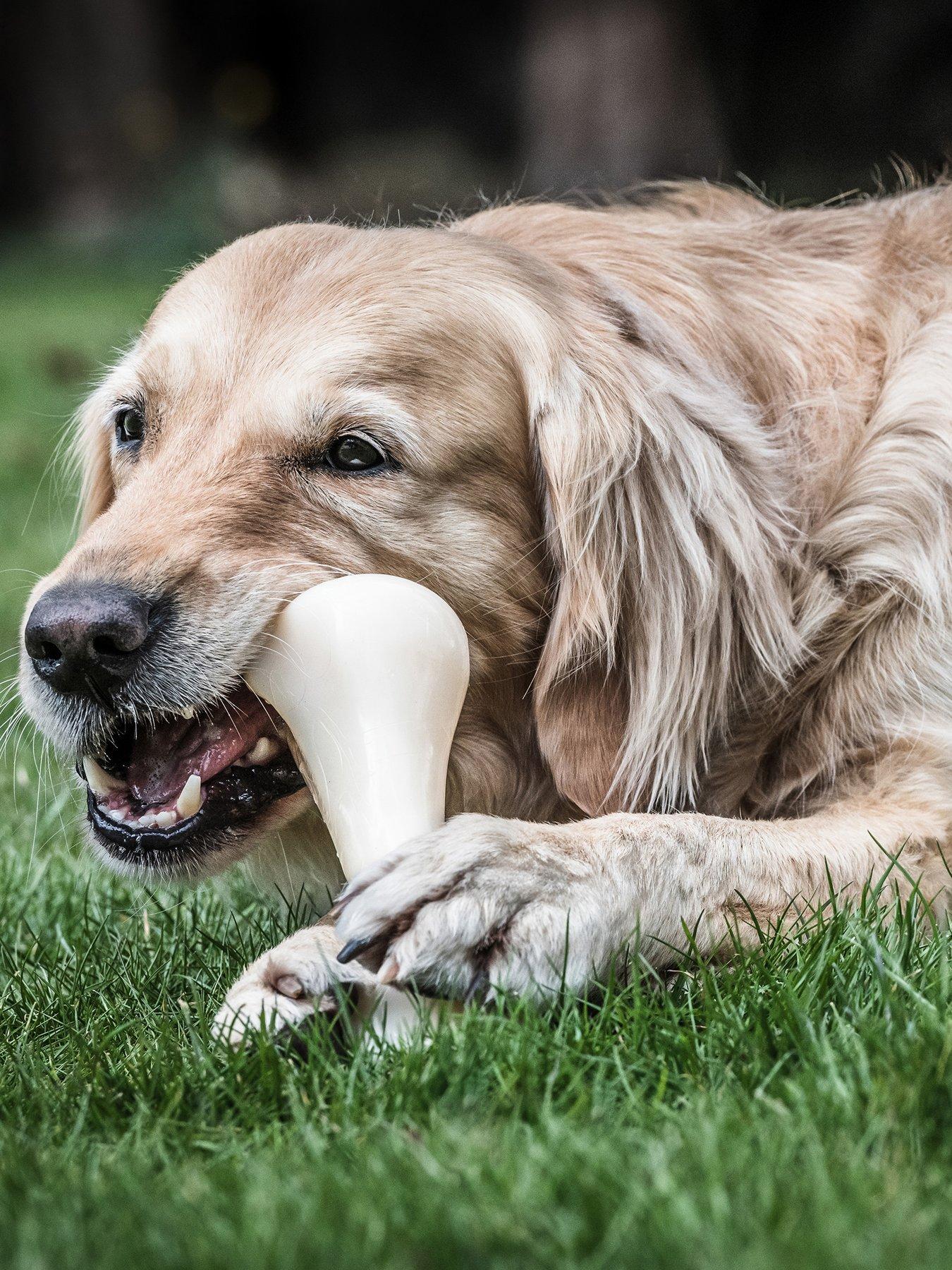 nylabone-nbc101peu-ny-extreme-chew-big-chicken-bone-xxlstillFront