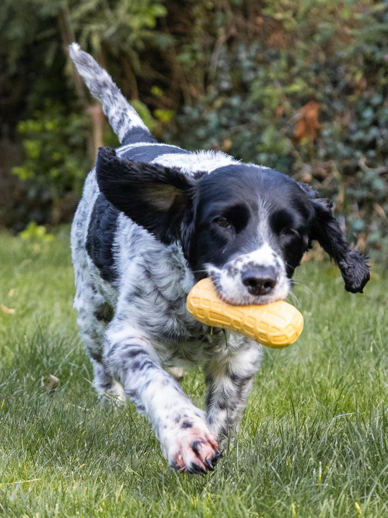 nylabone-nptt103peu-ny-sc-peanut-spread-toy-pb-mstillFront