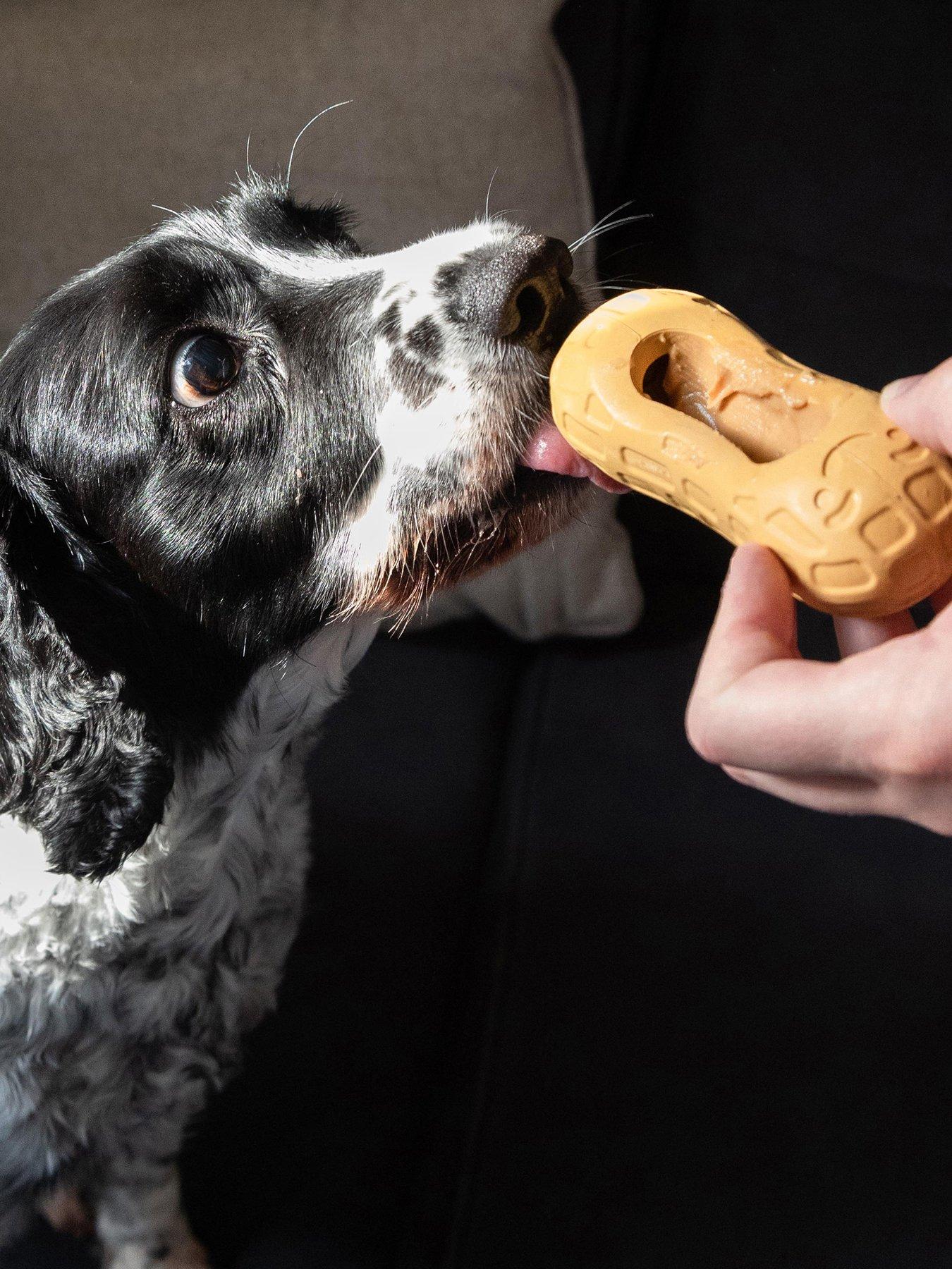 nylabone-nptt103peu-ny-sc-peanut-spread-toy-pb-moutfit