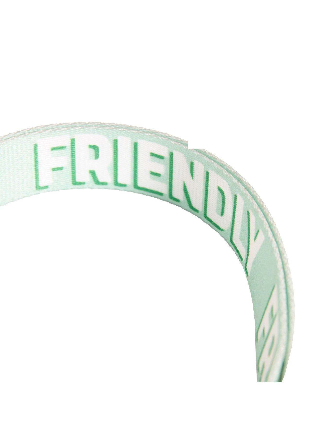 rosewood-friendly-alert-dog-collardetail