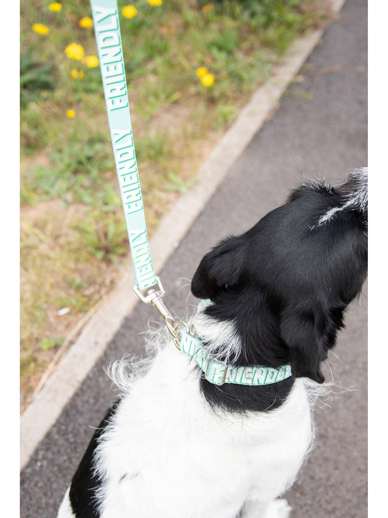 rosewood-1-lead-friendly-alert-leaddetail