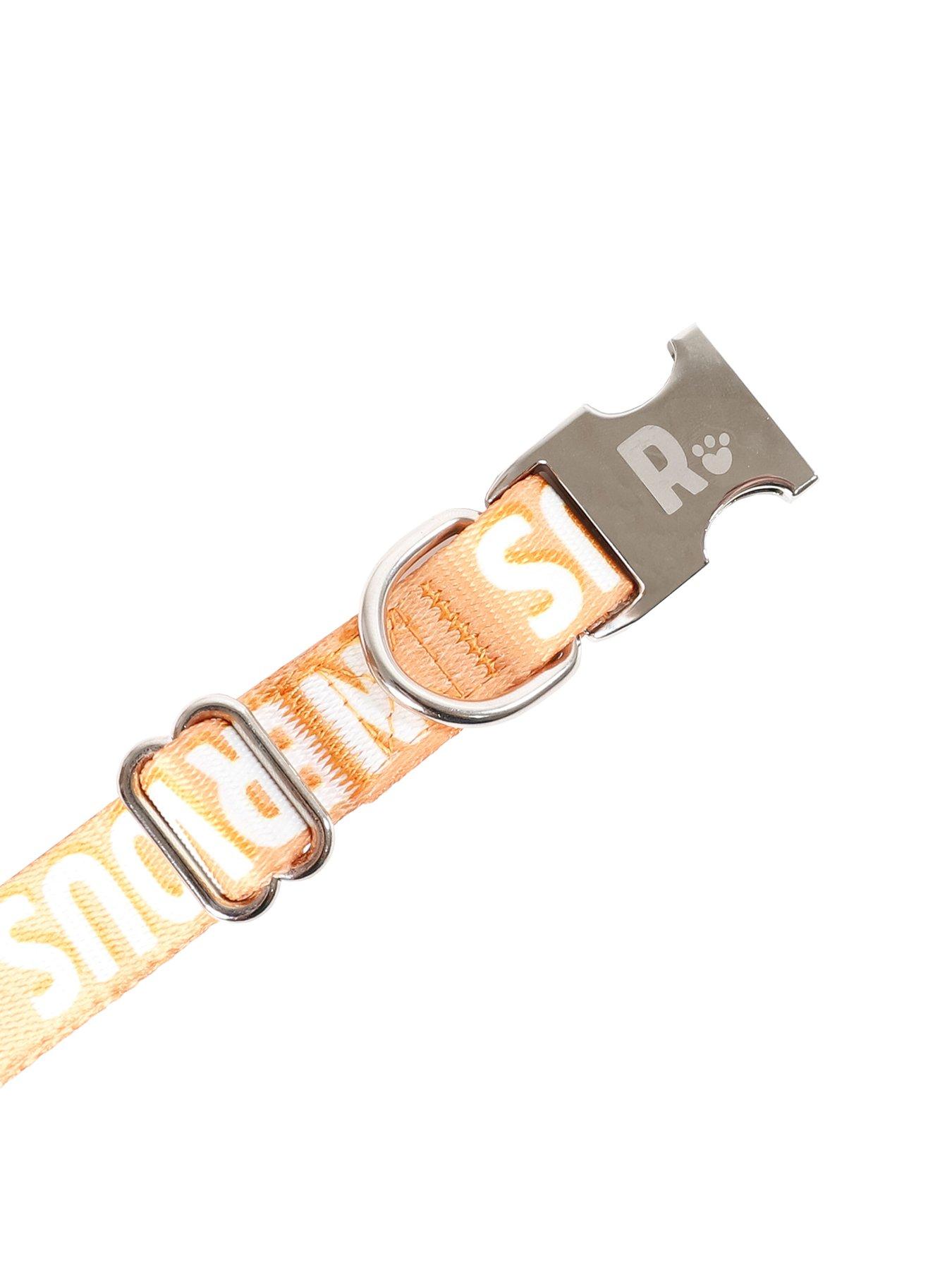 rosewood-nervous-alert-dog-collarback