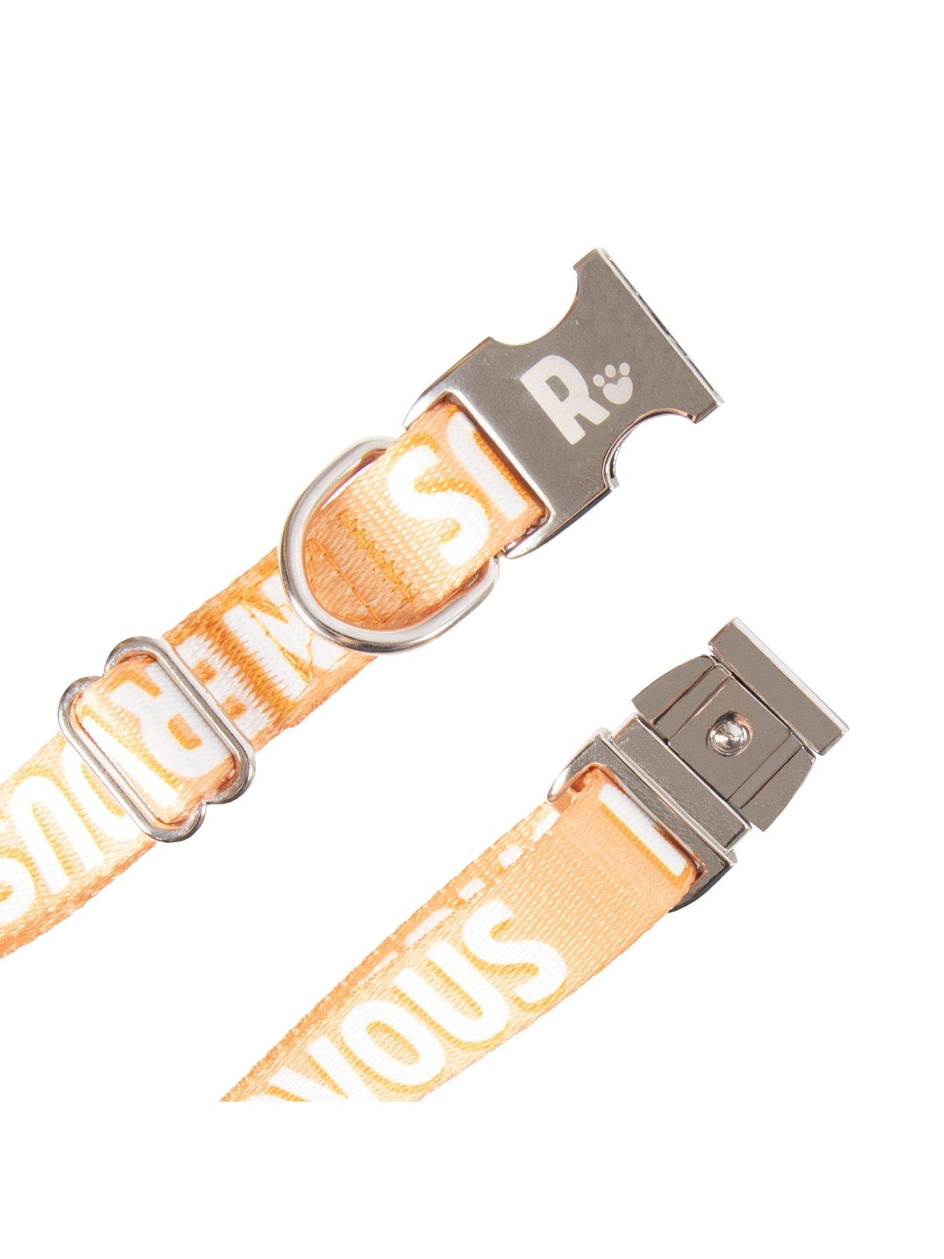 rosewood-nervous-alert-dog-collaroutfit