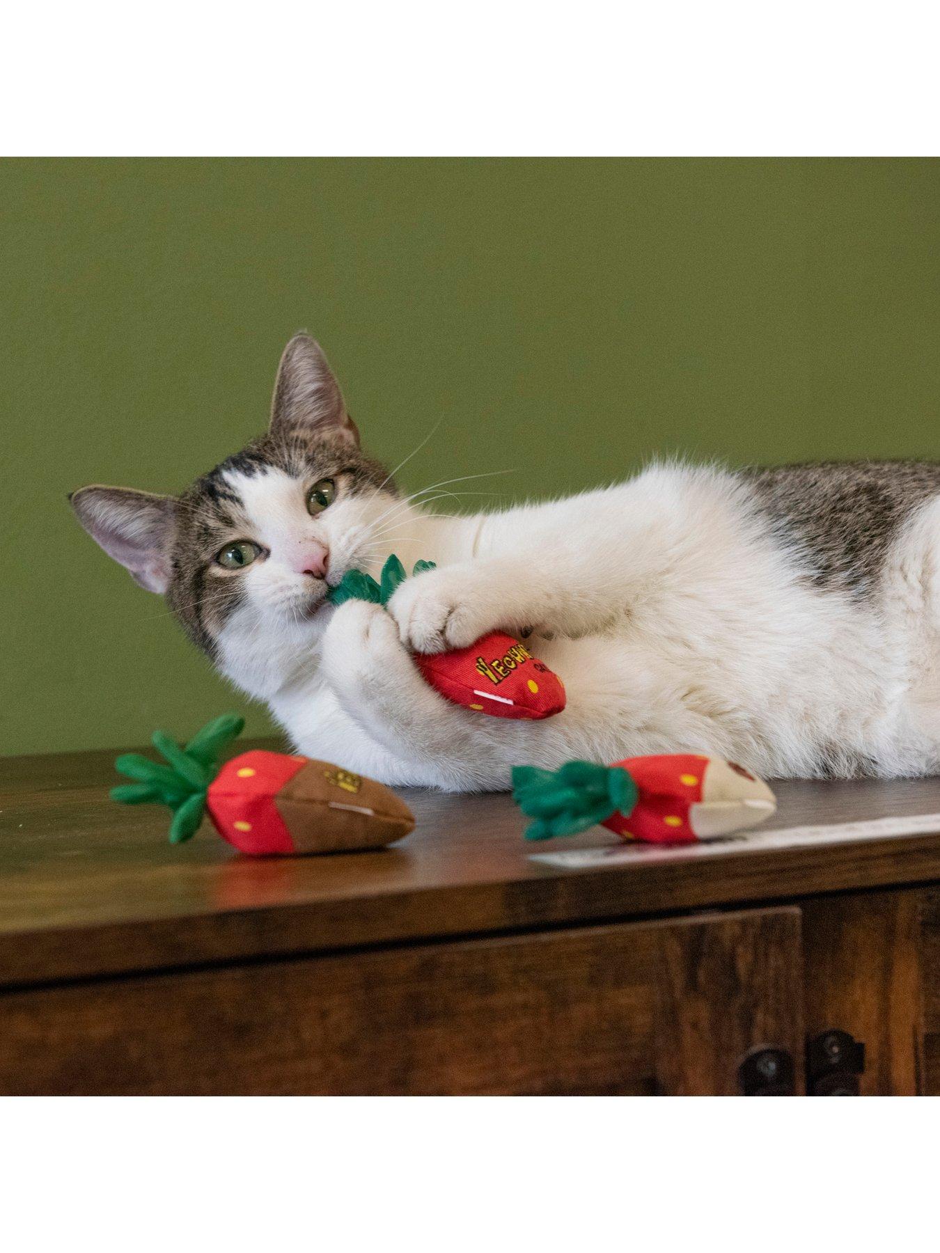yeowww-strawberries-3pack-cat-toyback