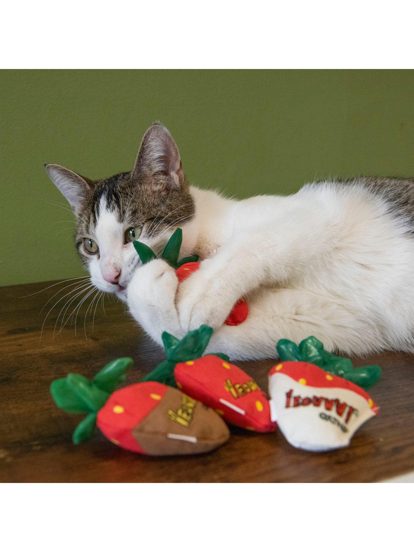 yeowww-strawberries-3pack-cat-toyoutfit
