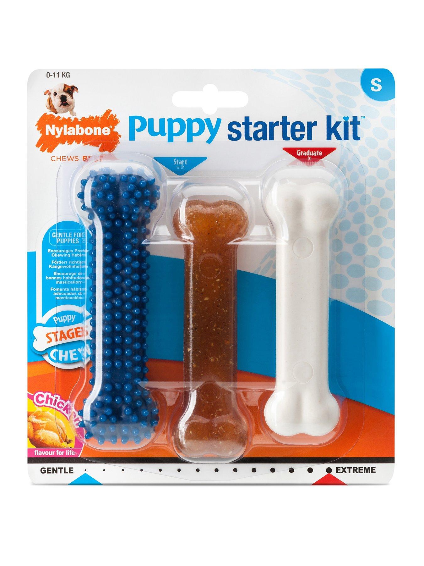 Image 1 of 7 of Nylabone Puppy Starter Kit Toy Small