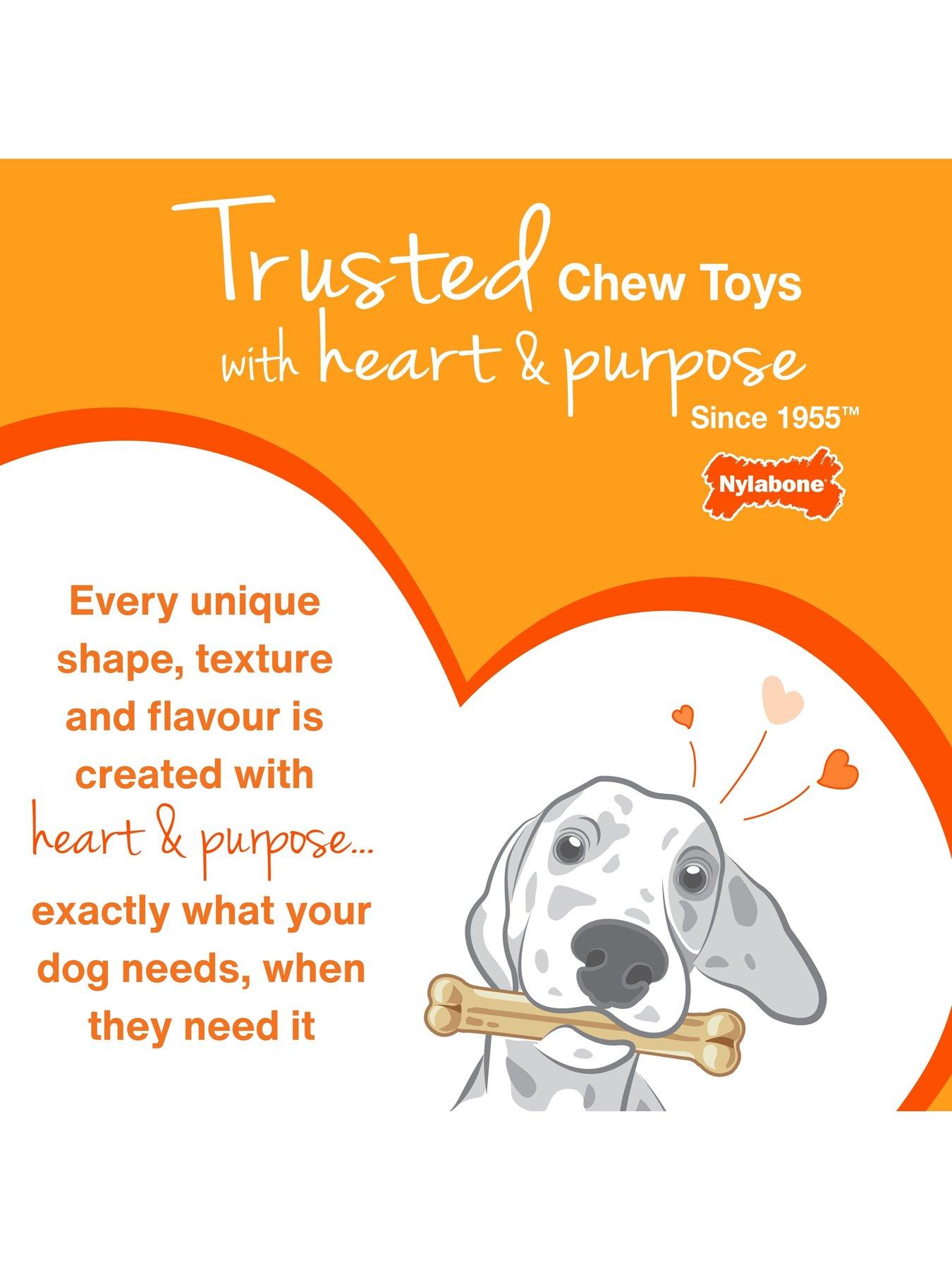Image 6 of 7 of Nylabone Puppy Teething X Bone Beef Flavour Chew Toy -XS