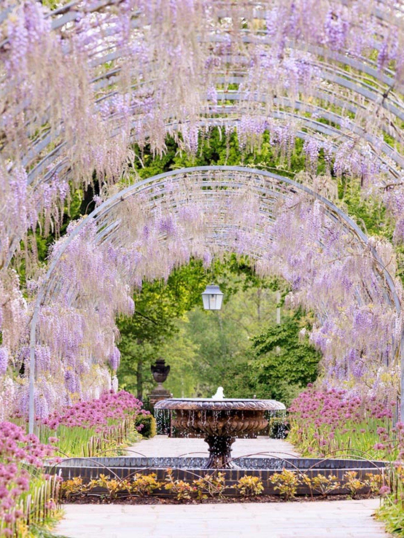 virgin-experience-days-visit-to-a-rhs-garden-for-two-5-uk-locationsstillFront
