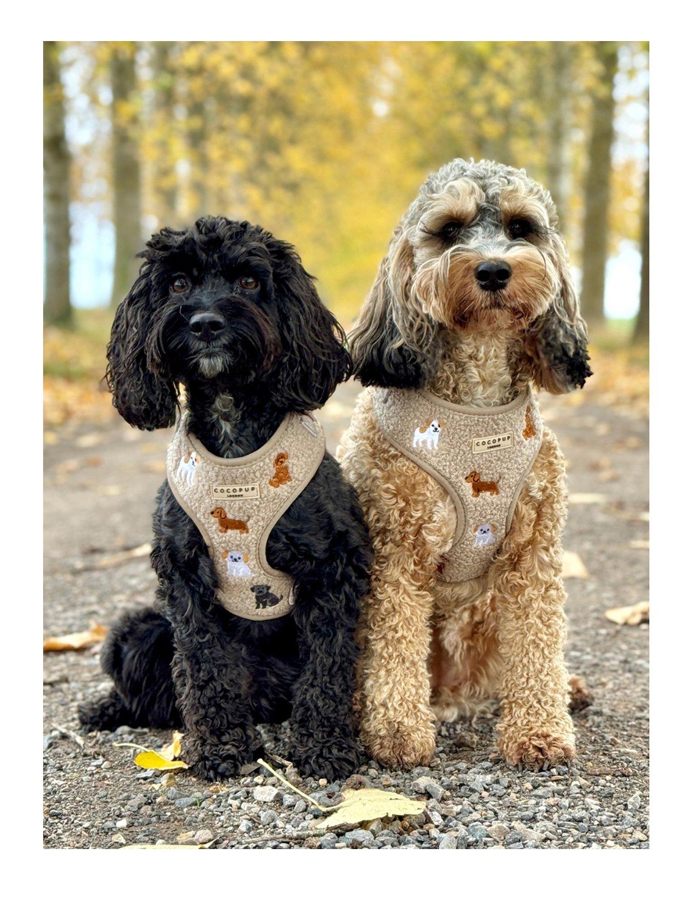 Image 1 of 3 of Cocopup Ralph and Friends Harness -M