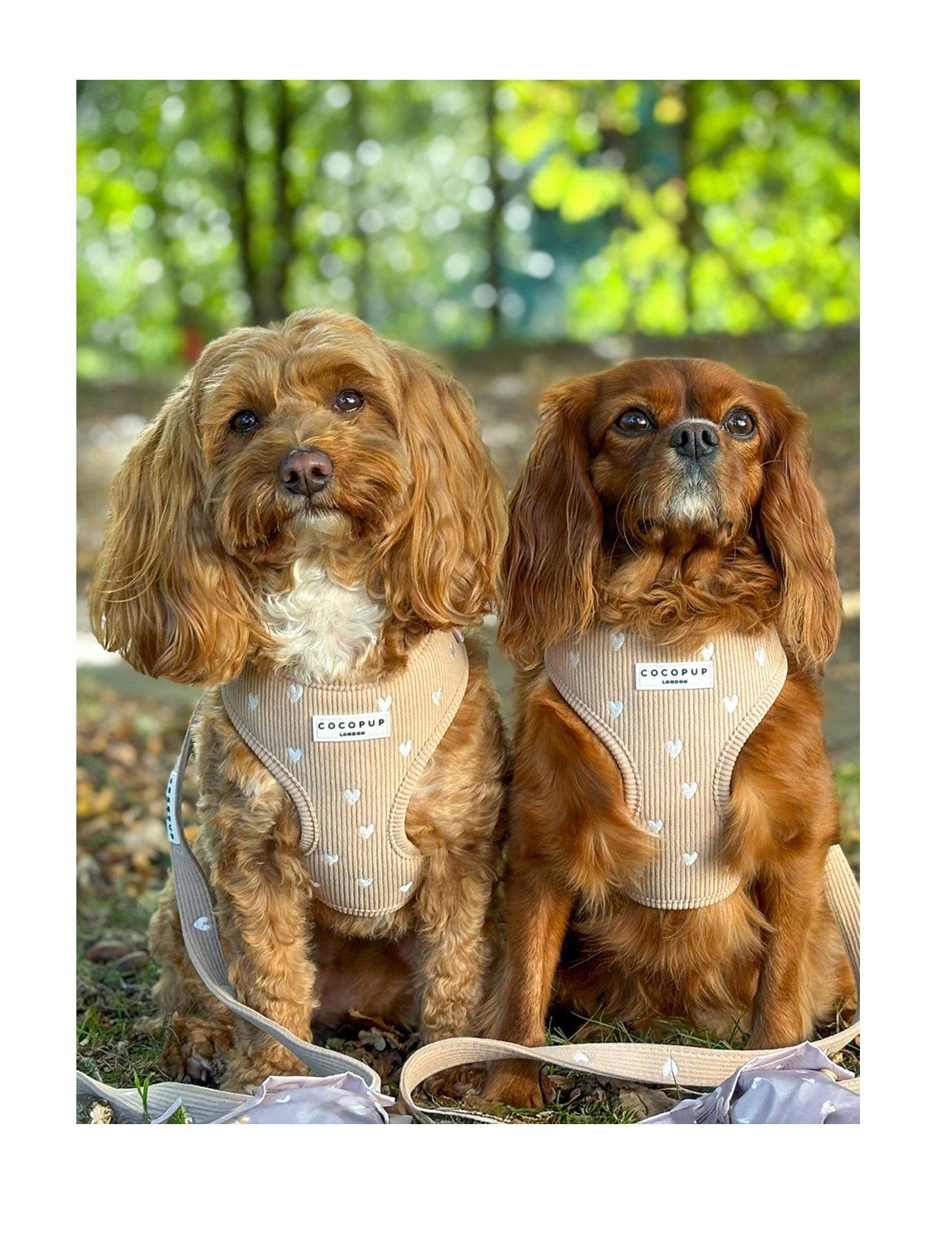 Cocopup Chai Hearts Harness - L