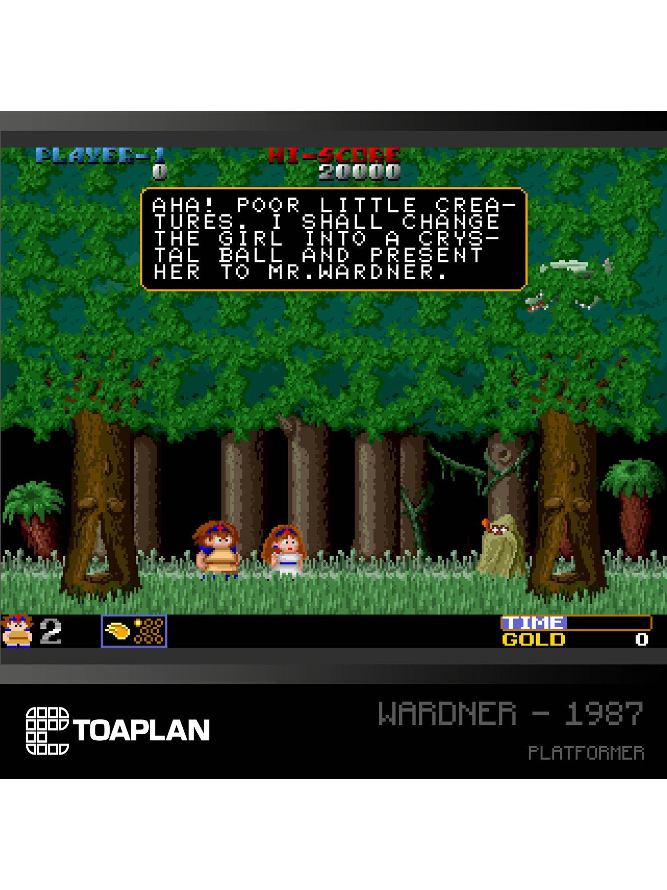 evercade-toaplan-arcade-collect-2back