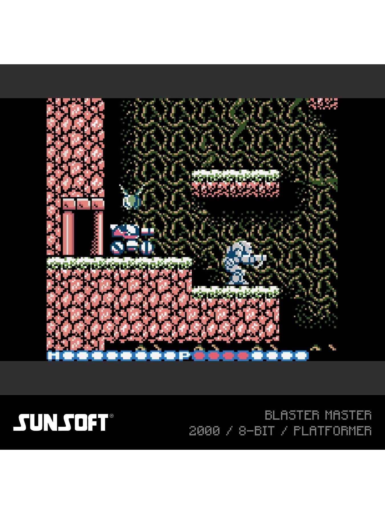 evercade-sunsoft-collection-2detail