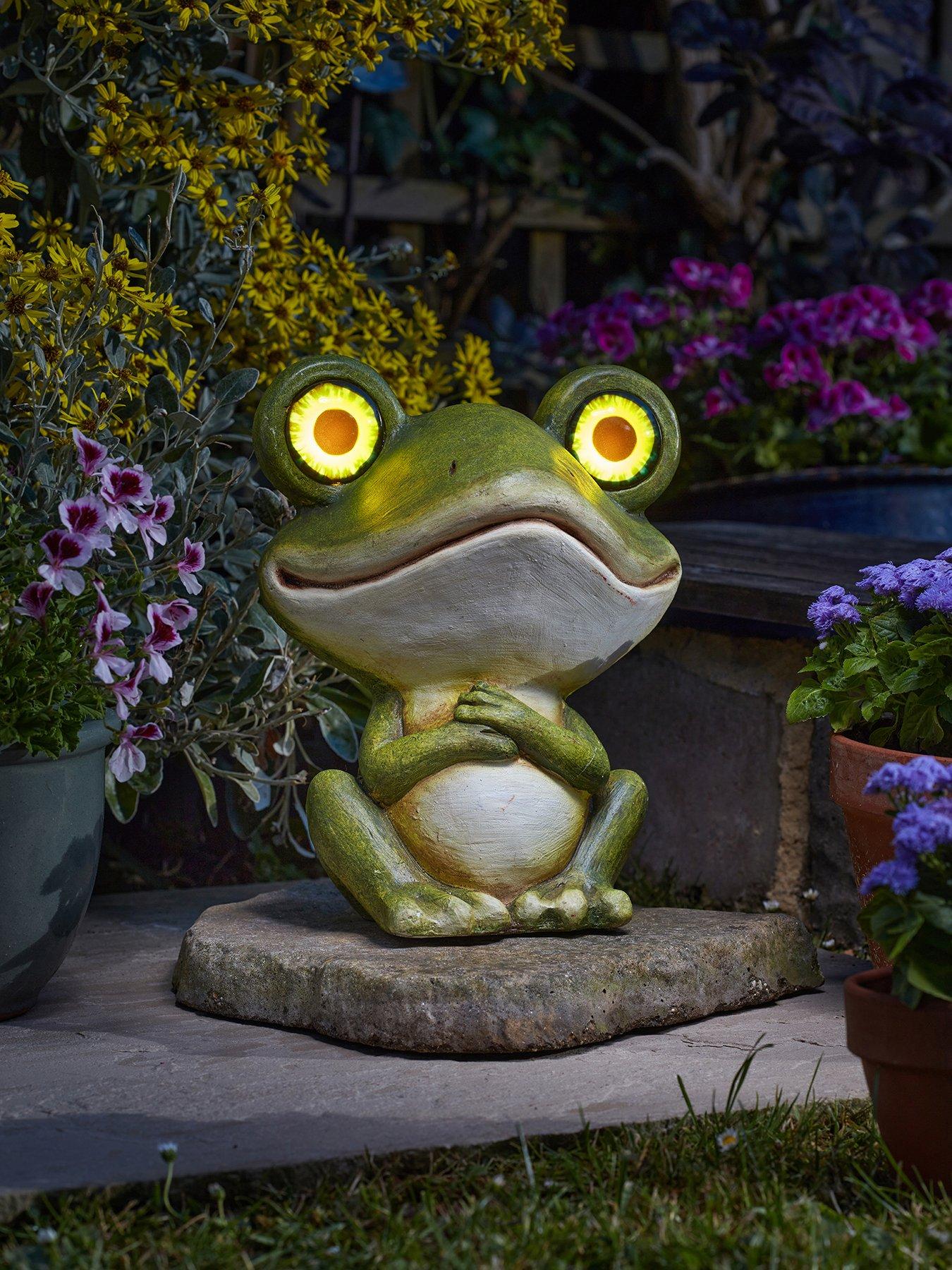 smart-solar-frog-eyes