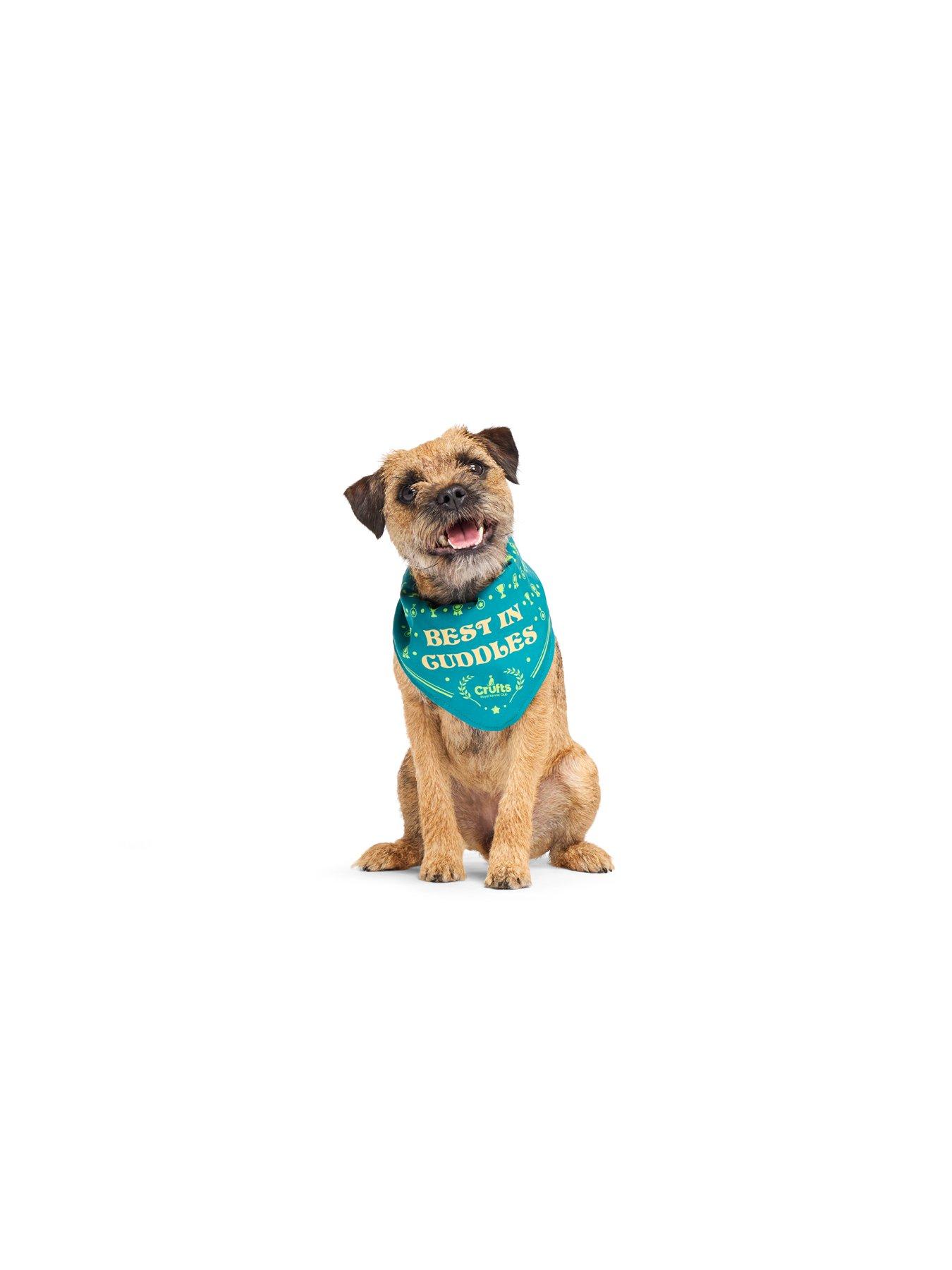 bark-x-crufts-winners-bandanathrowsette-disc-dog-toydetail