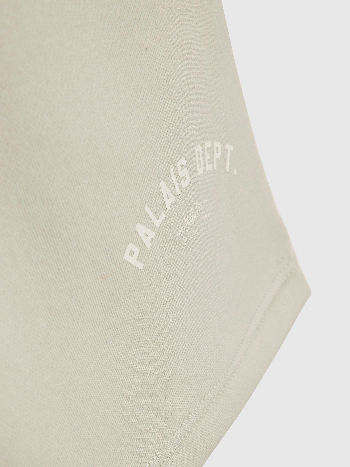 river-island-older-boys-palais-dept-back-print-t-shirt-set-greydetail